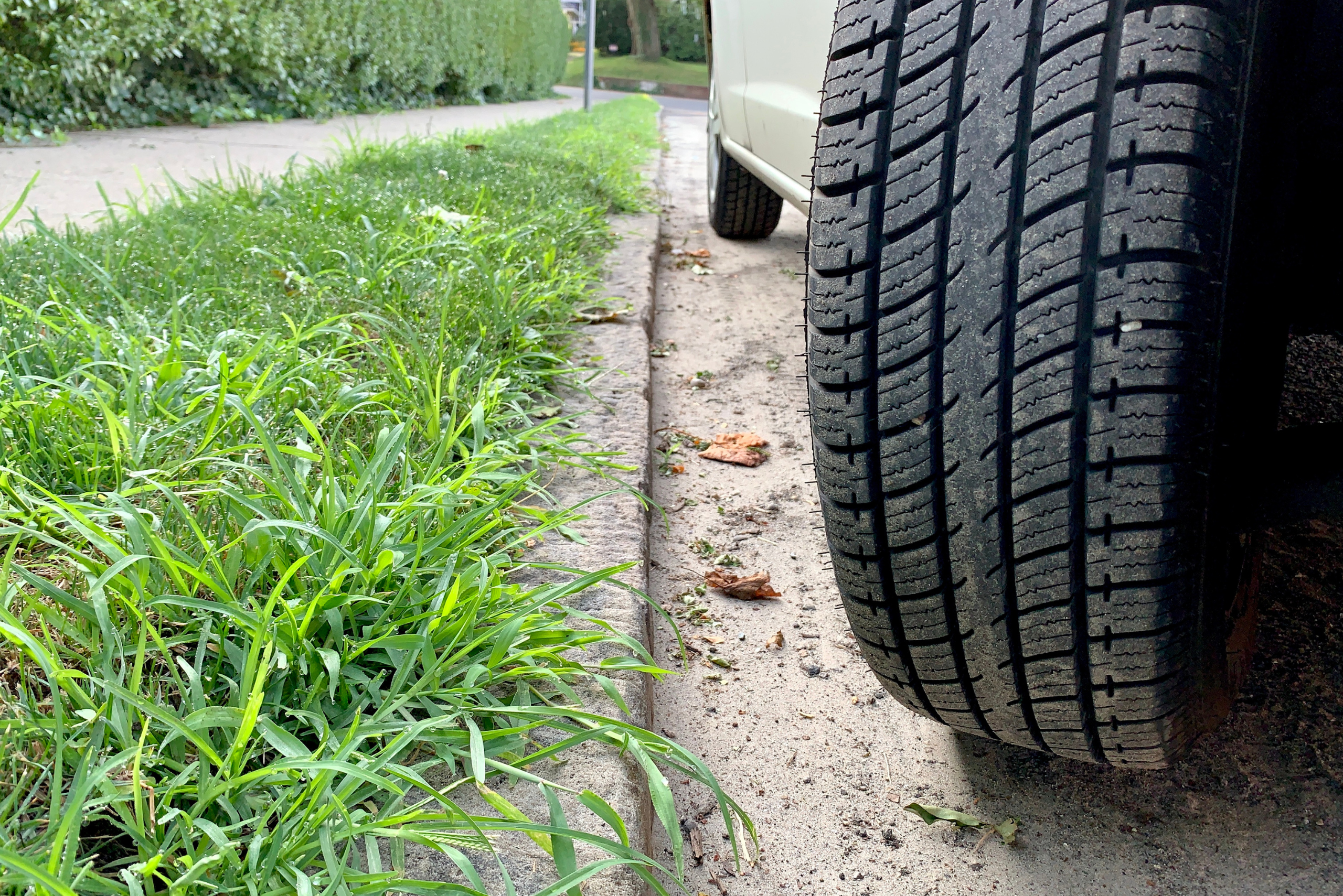 Tire near a curb.