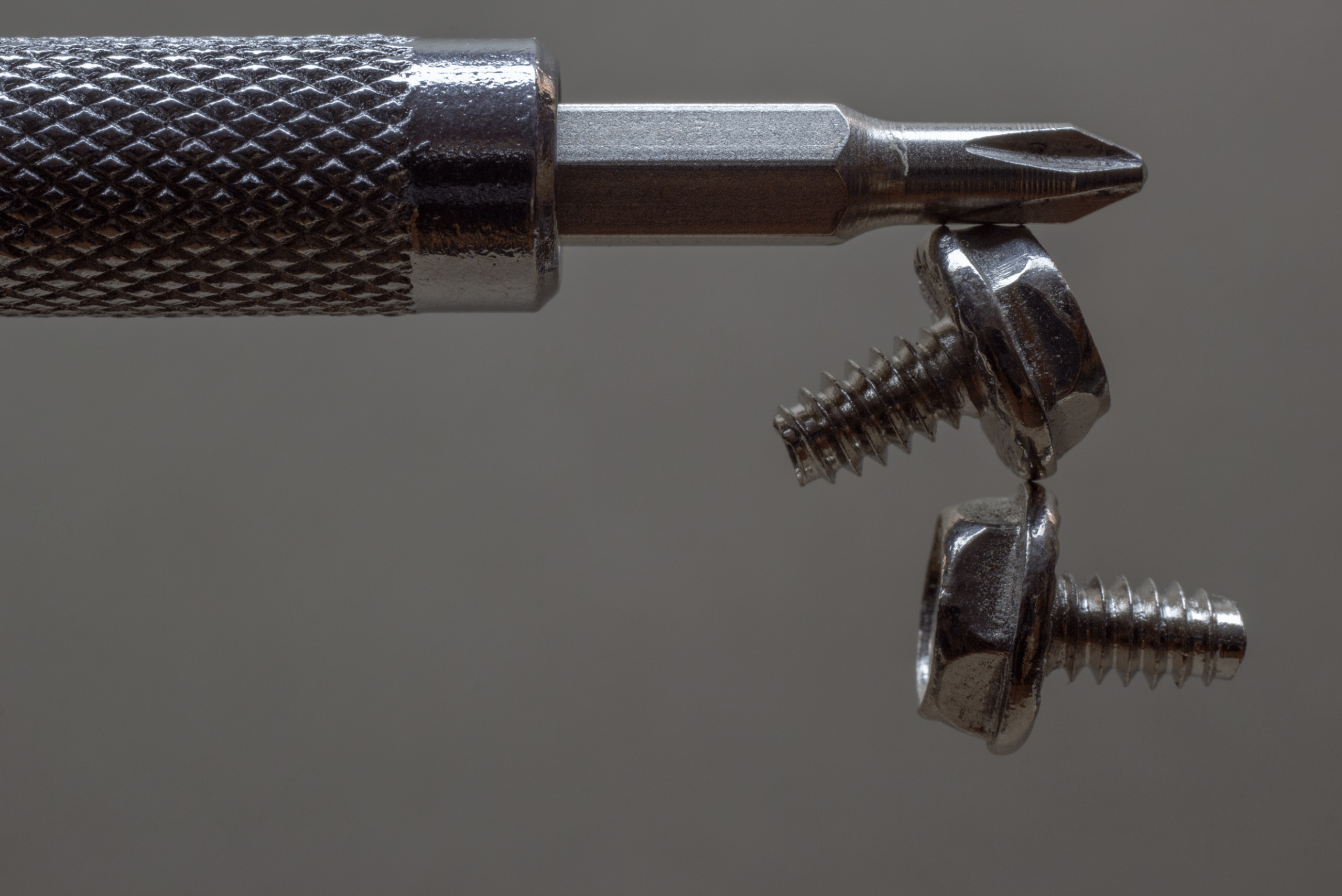 A screwdriver with screws attached to its bit.