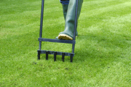 How to Aerate Your Lawn to Achieve a Healthier Yard