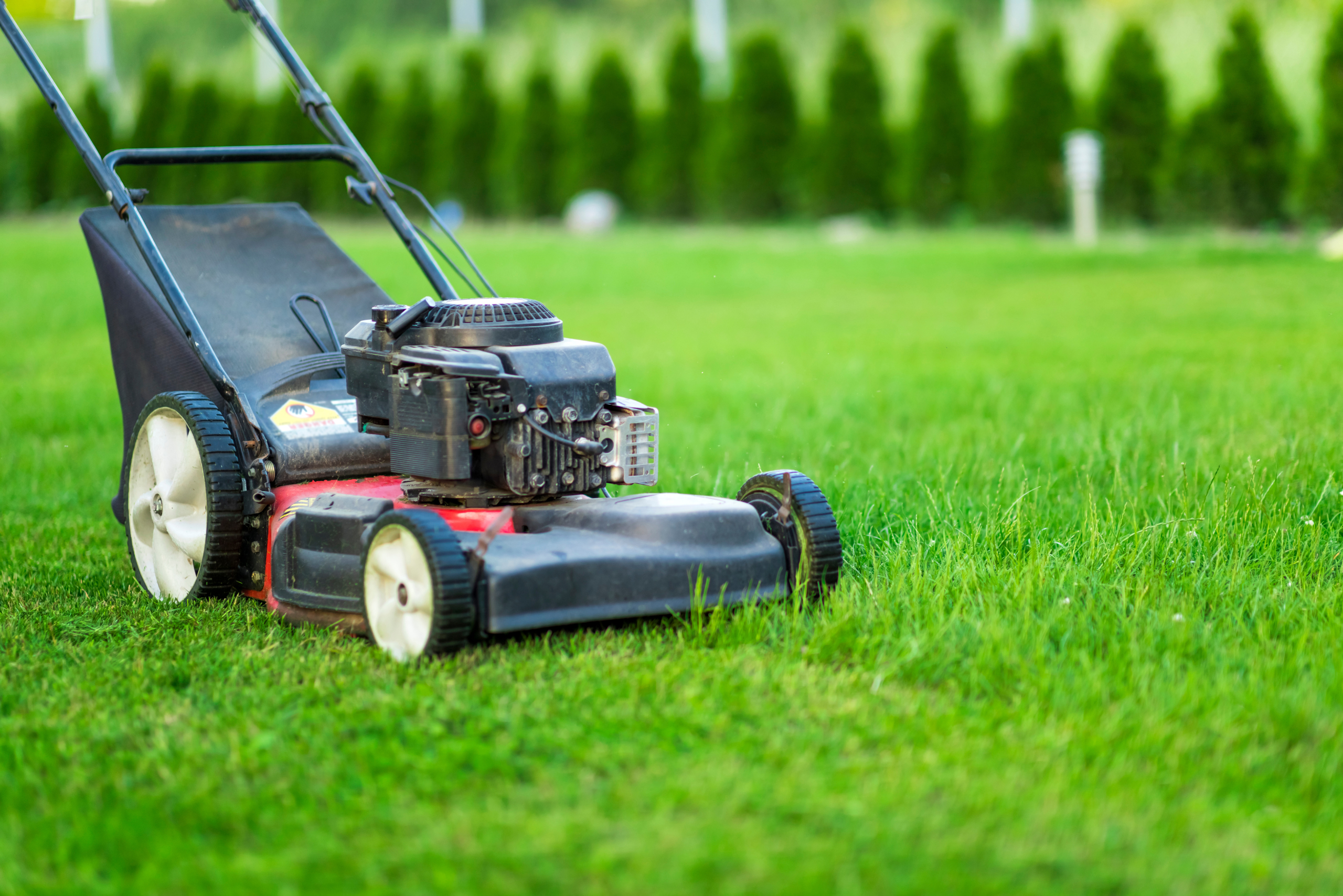 A lawn mower mowing grass.