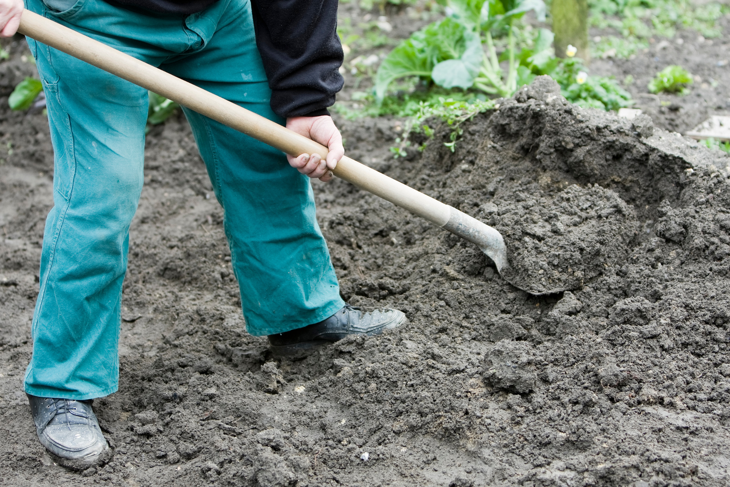 A man using shovel to level ground dirt.