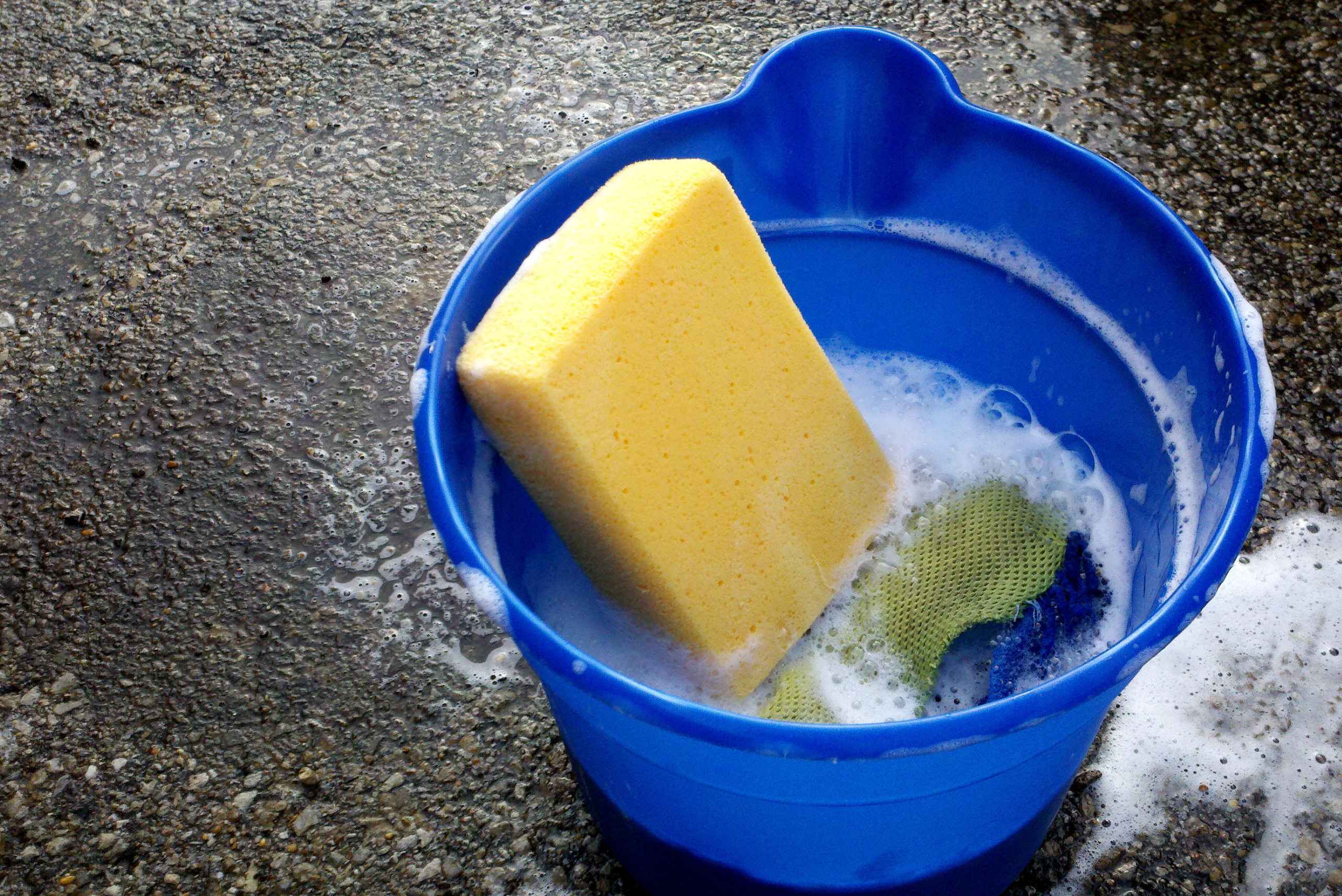 Bucket of soapy water and sponge.