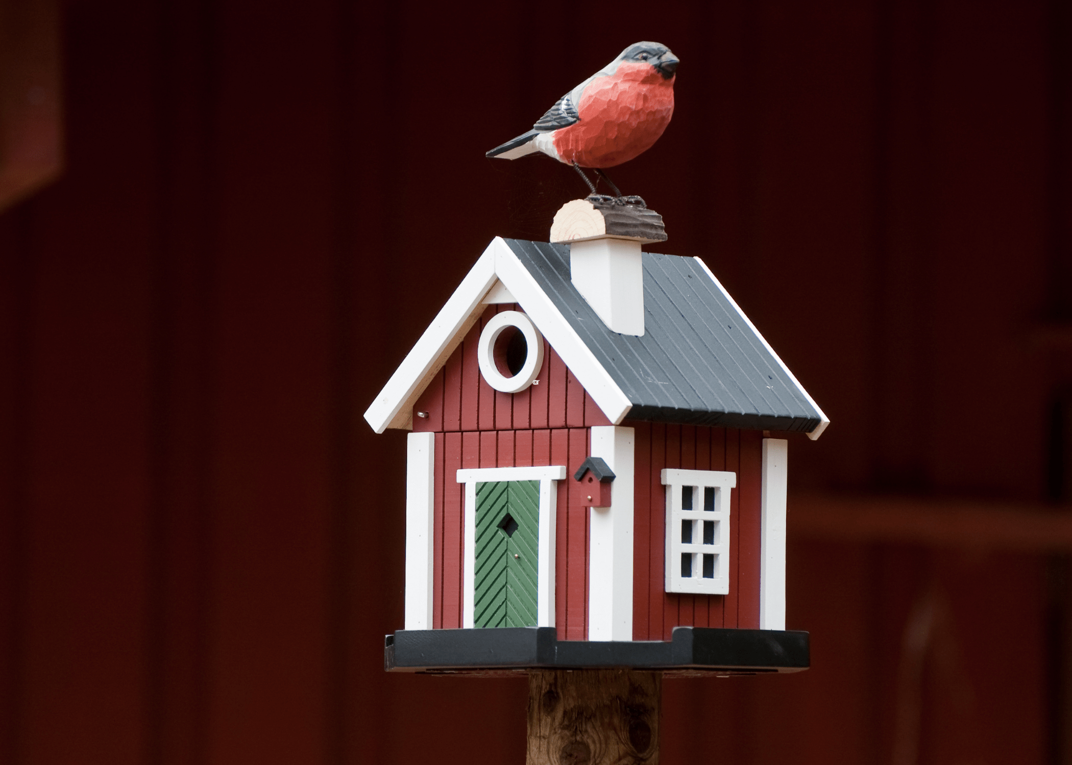 red and white birdhouse with bird on top