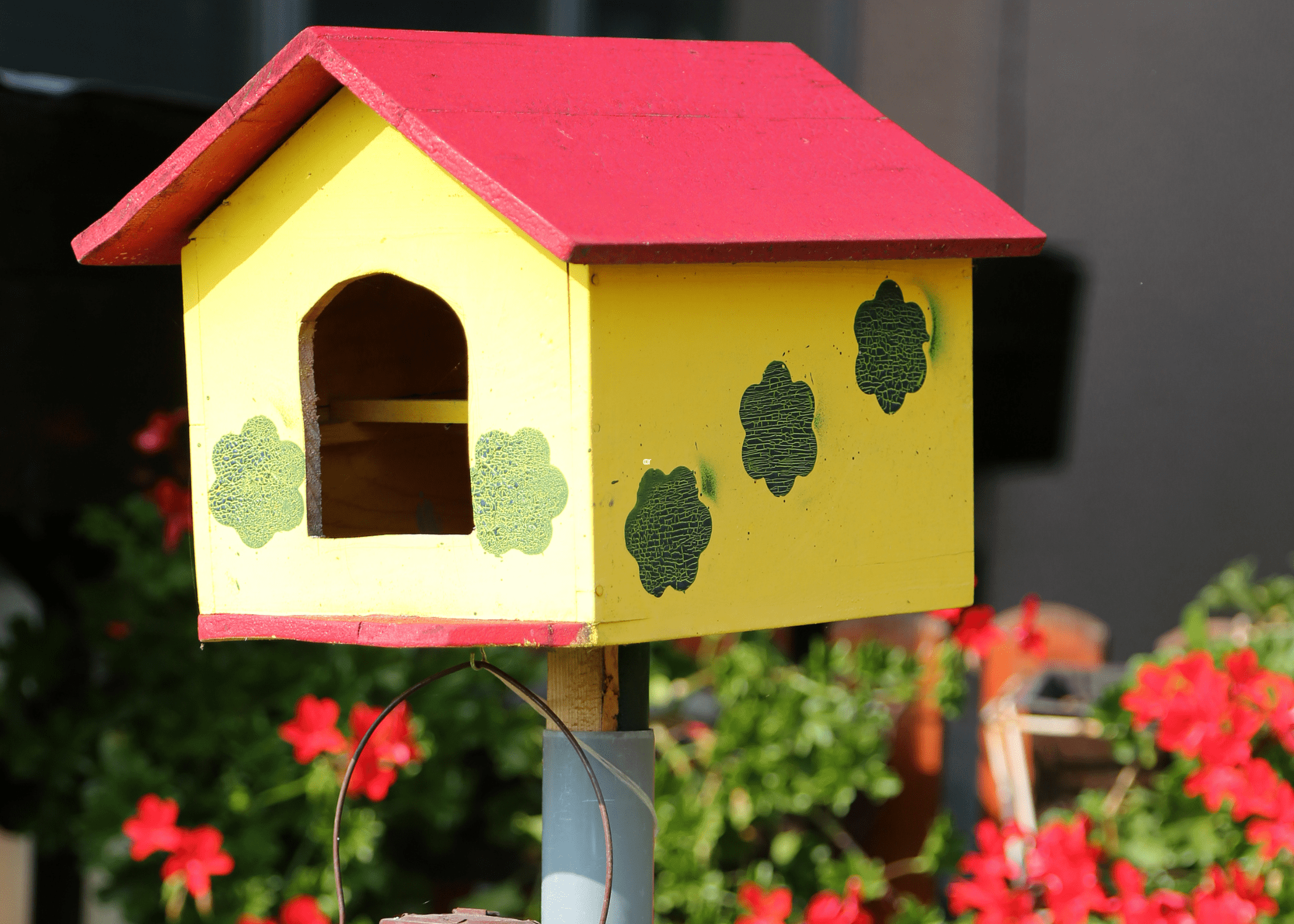 yellow and red birdhouse with green flowers