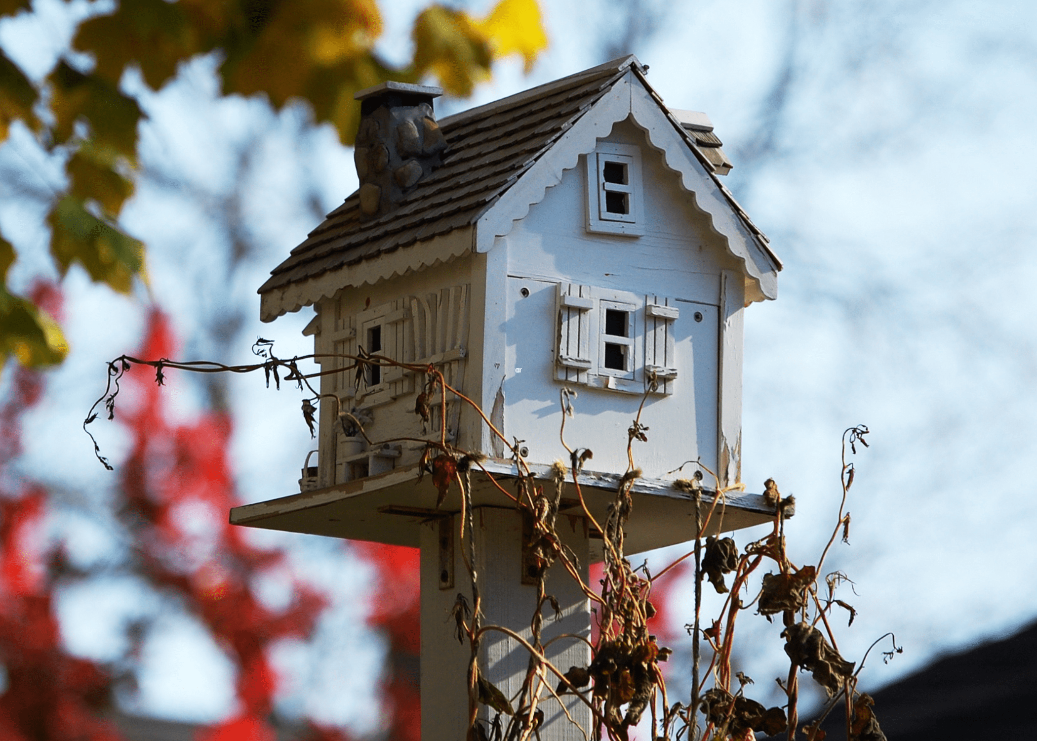 white birdhouse with scalloped edge