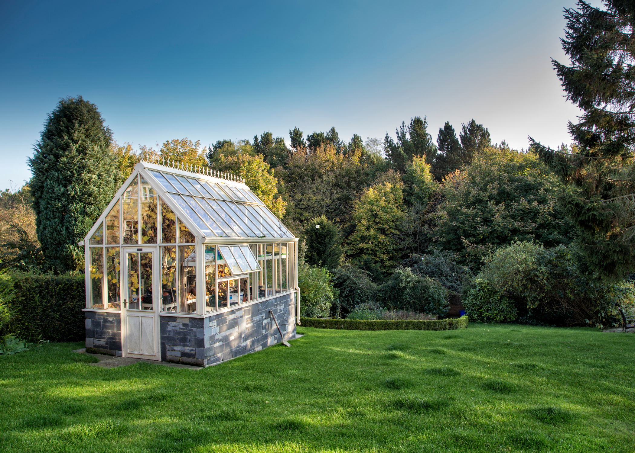 window frame greenhouse in big open backyard
