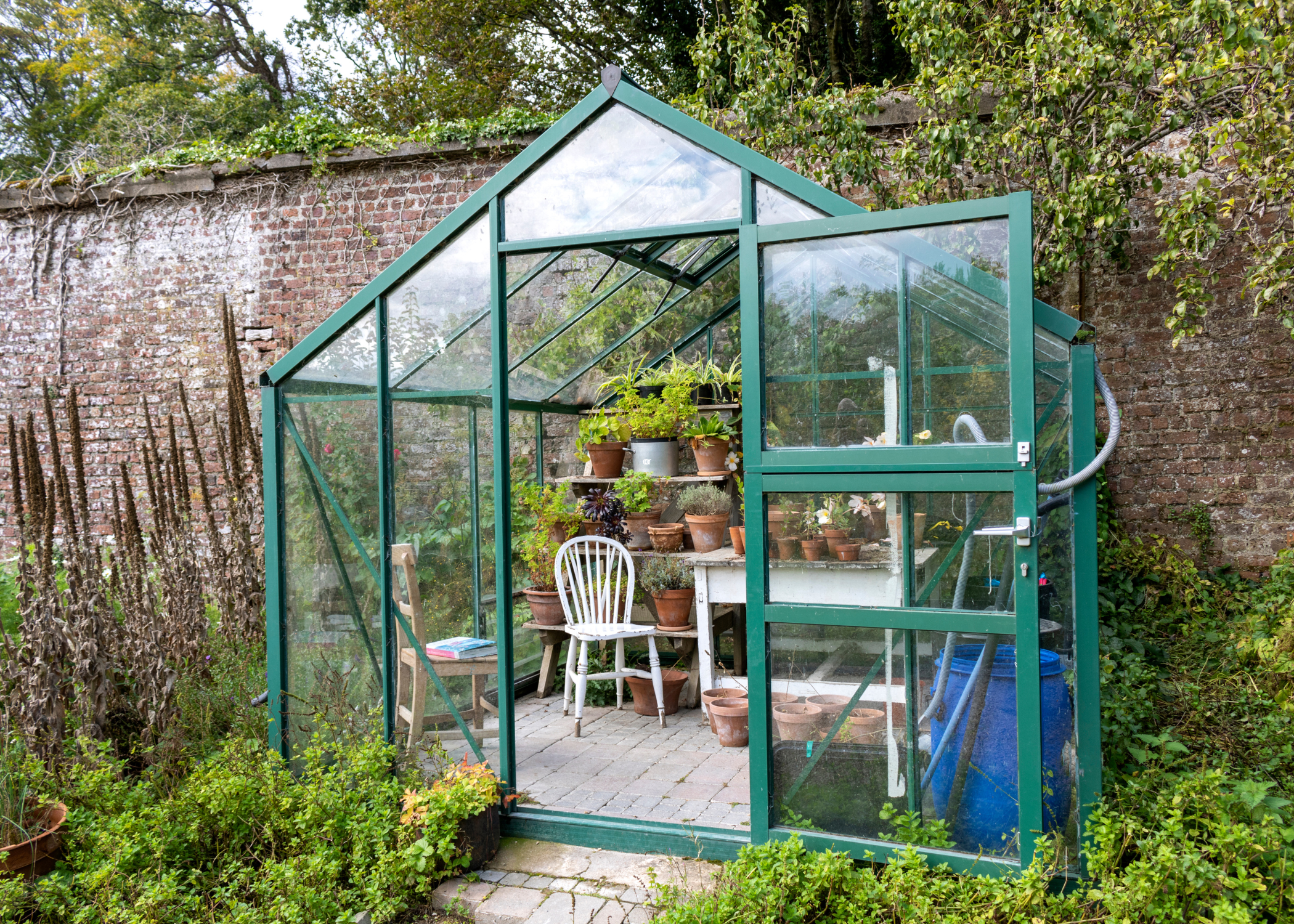green frame greenhouse with white chair inside