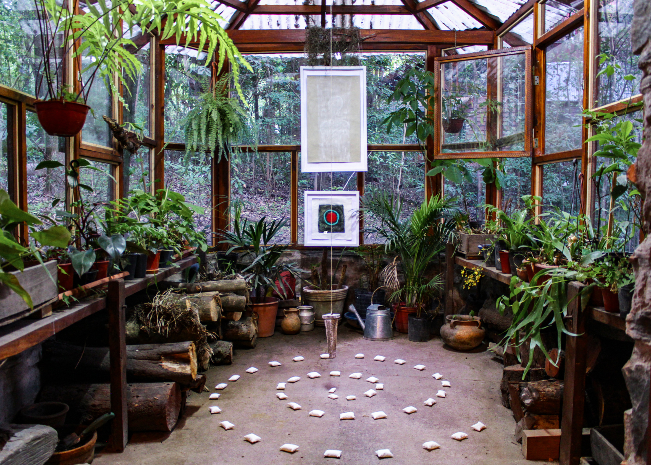 inside of greenhouse