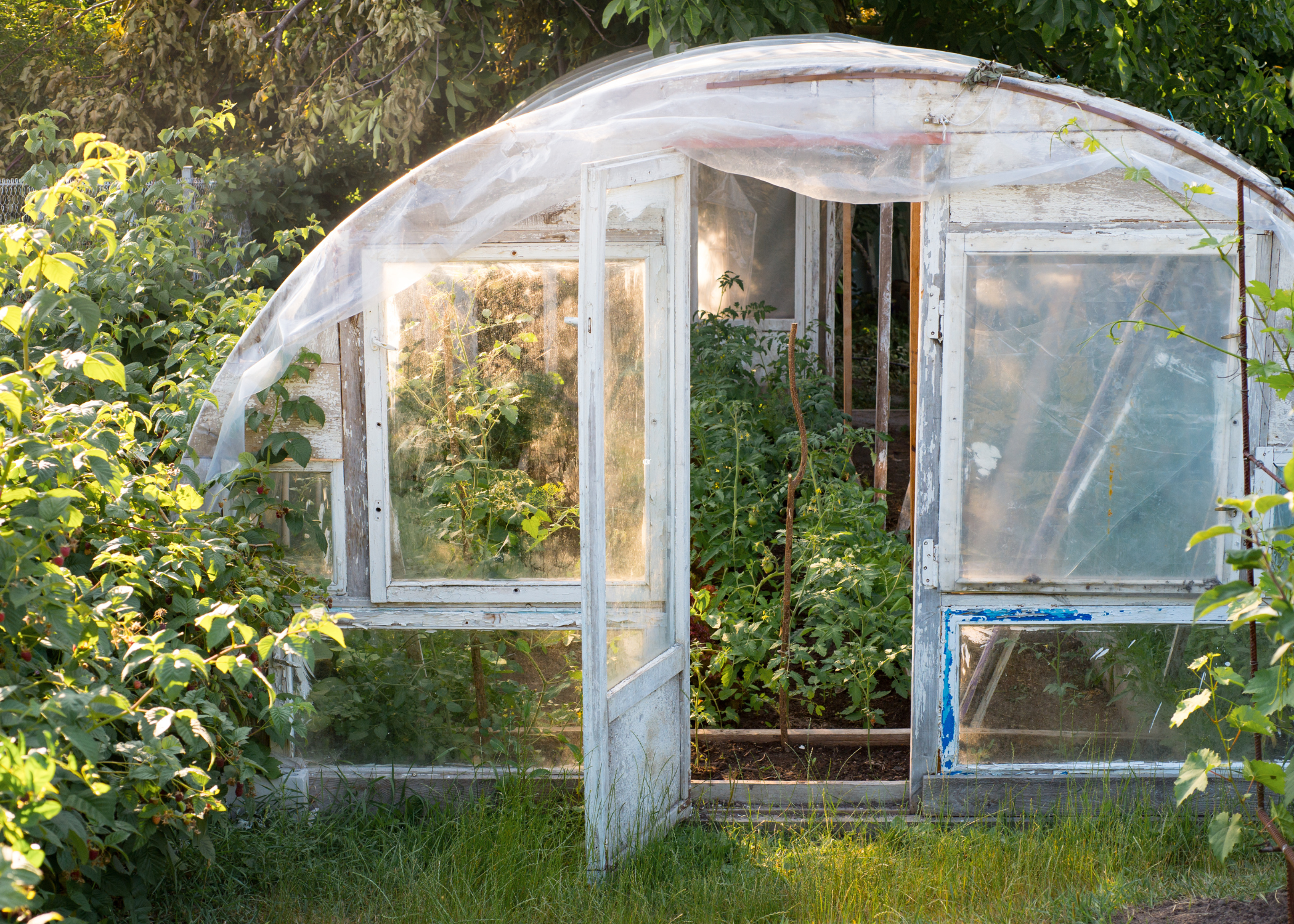 exterior of greenhouse