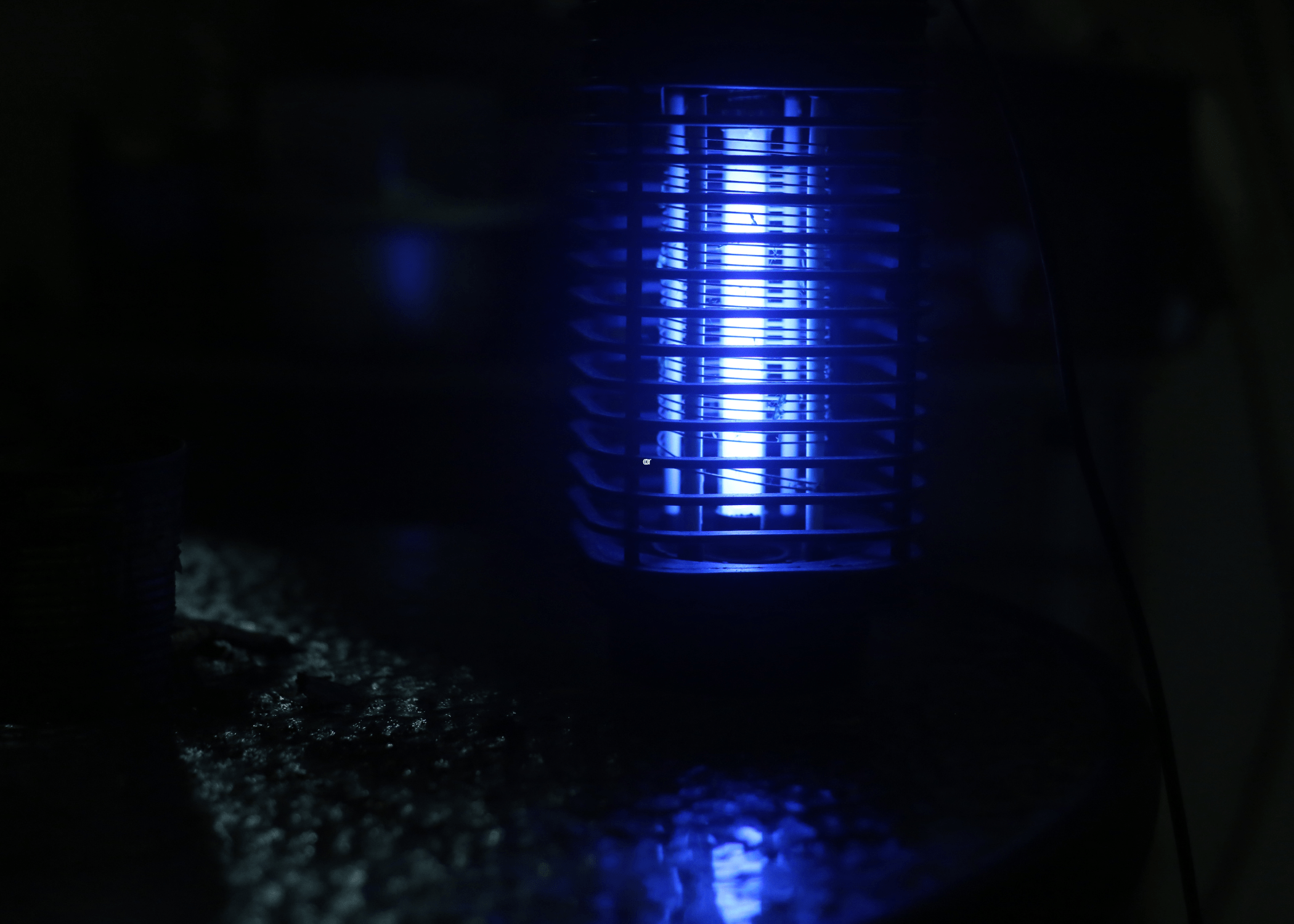 blue light mosquito trap.