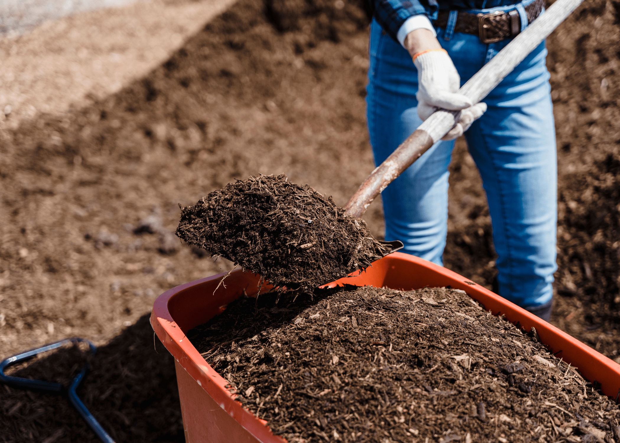 woman shoveling soil