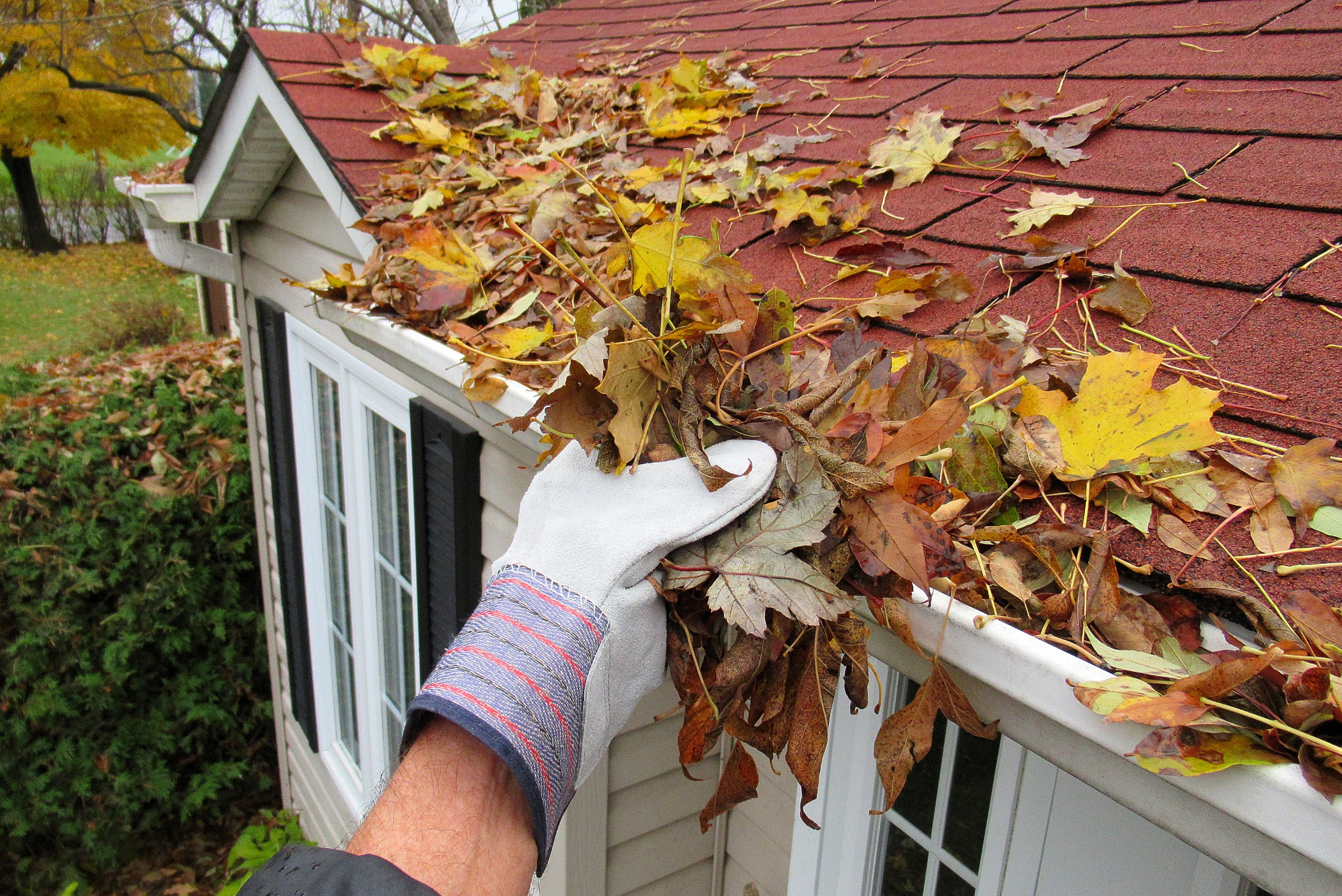 A person removing fall leaves from home gutters.
