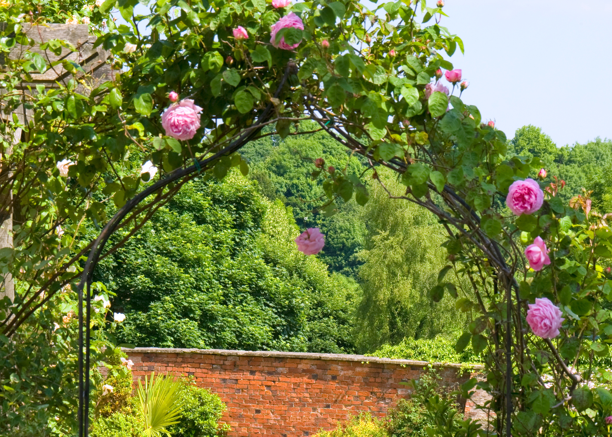 metal garden arch with climbing flowers