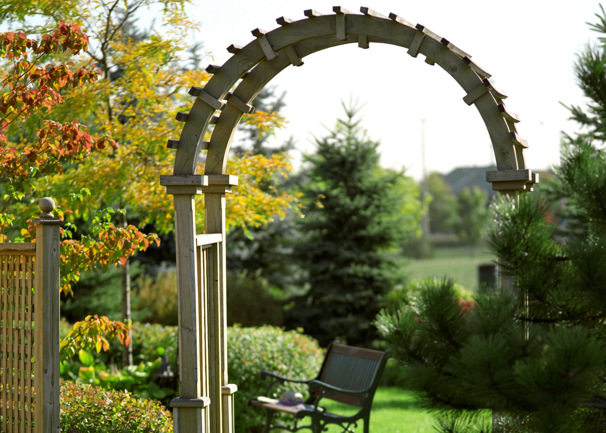 DIY Garden Arch Ideas That Will Enhance Your Outdoor Space