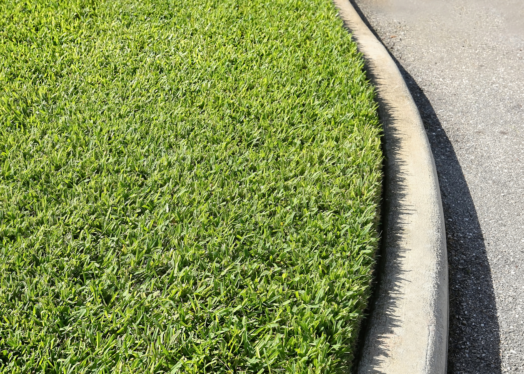 st. augustine grass meeting curb