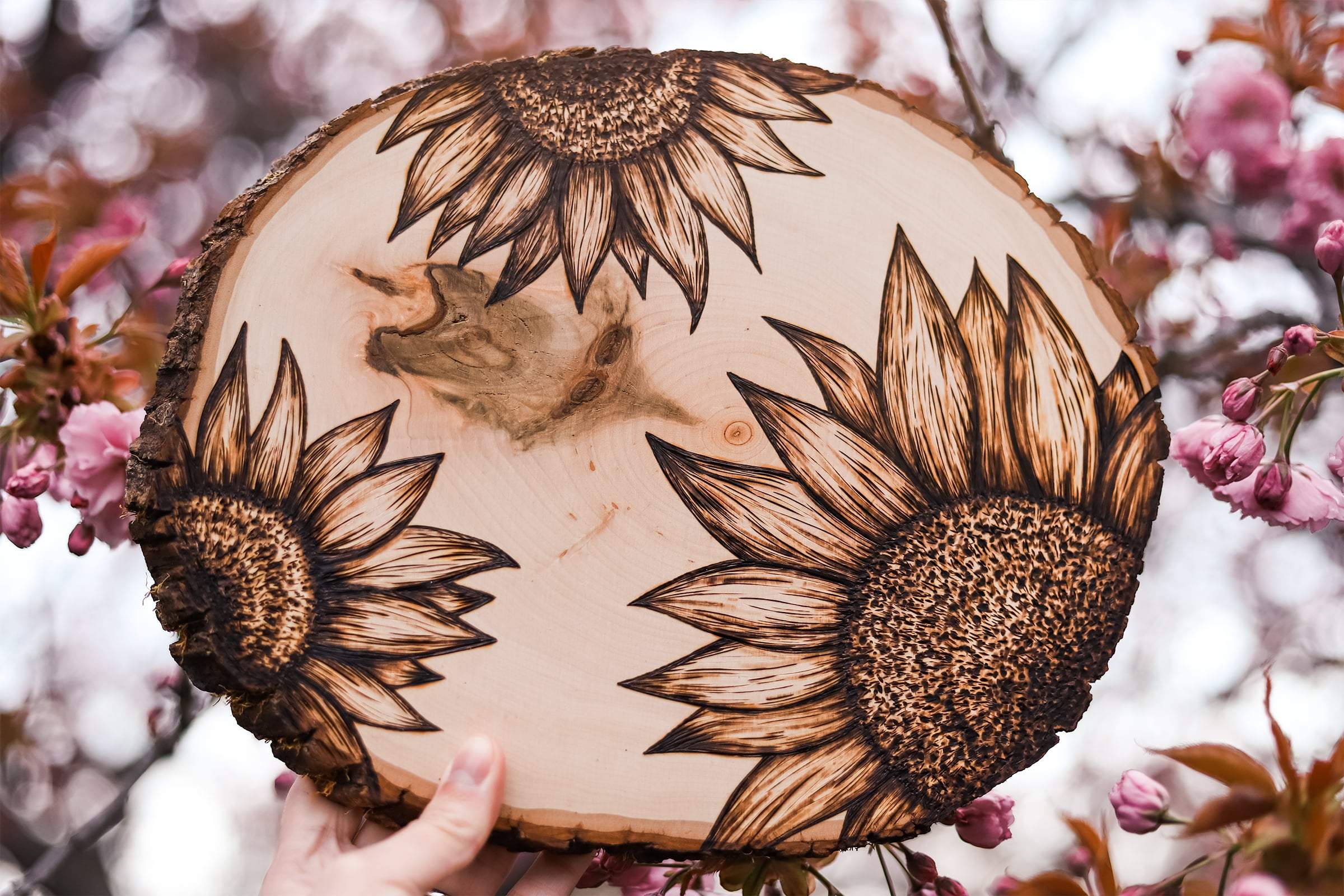 sunflower wood burning slice