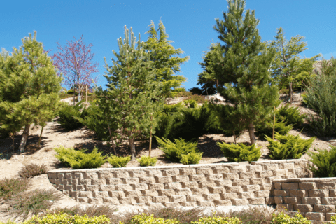 A cinder block retaining wall with trees flanking it.