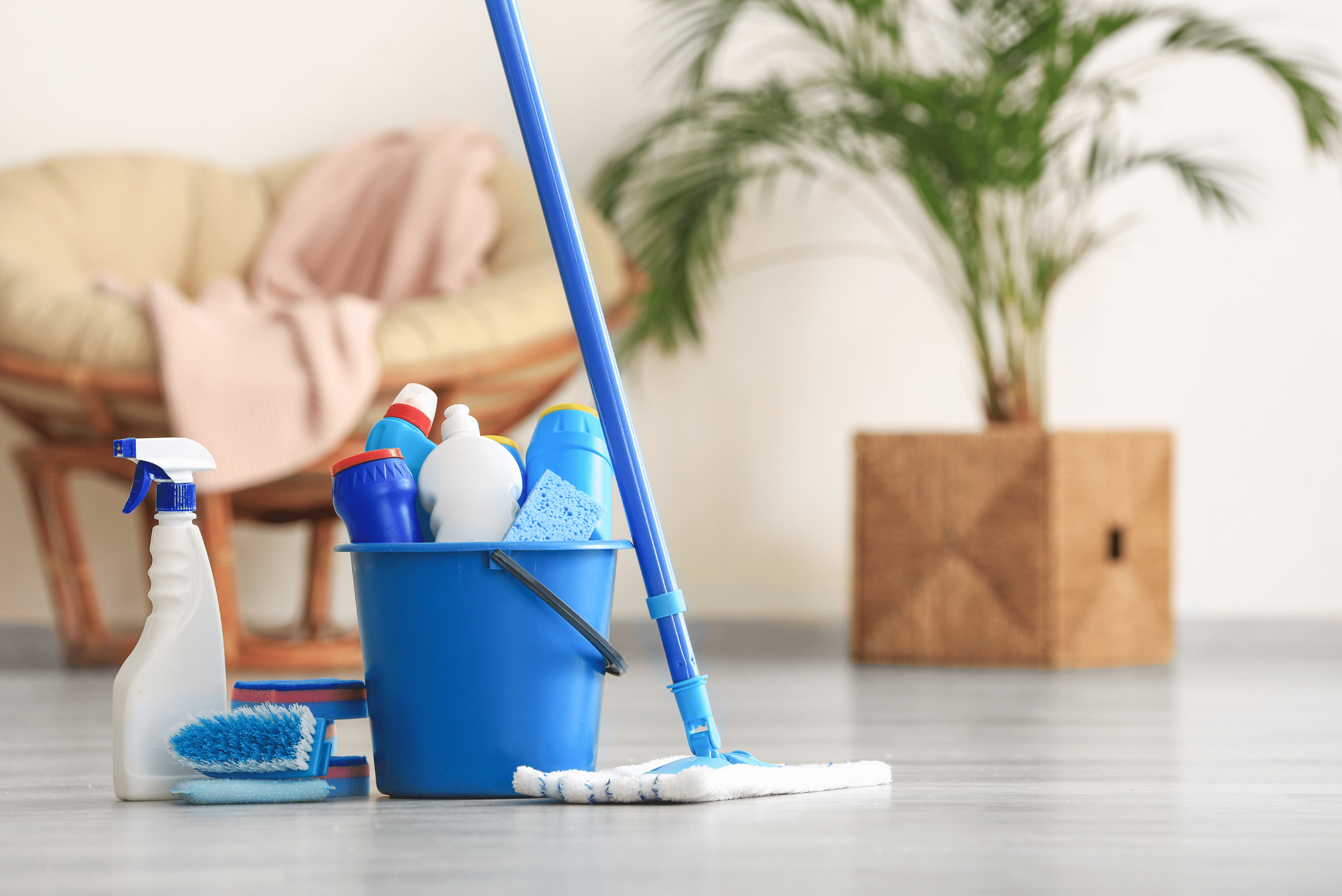 Bucket with cleaning supplies and a mop.