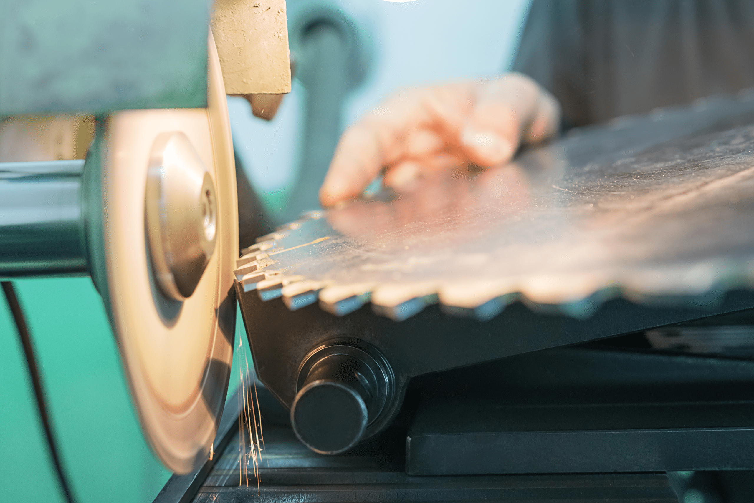 A circular saw blade having its teeth sharpened.