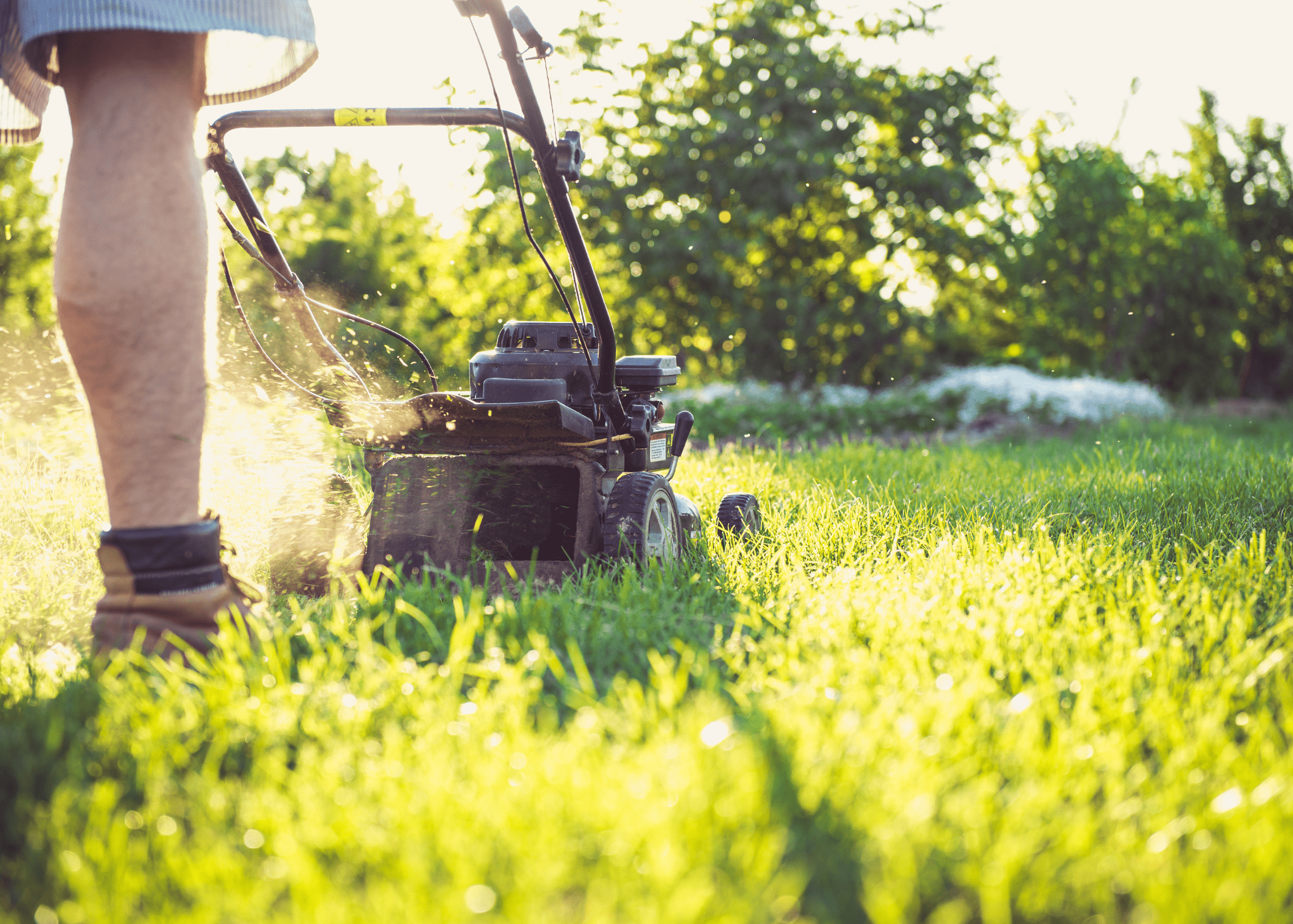 close up of man mowing lawn