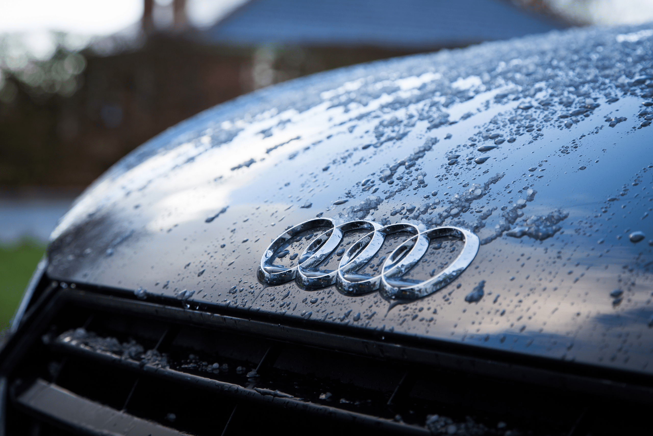 Wet hood of an Audi car.