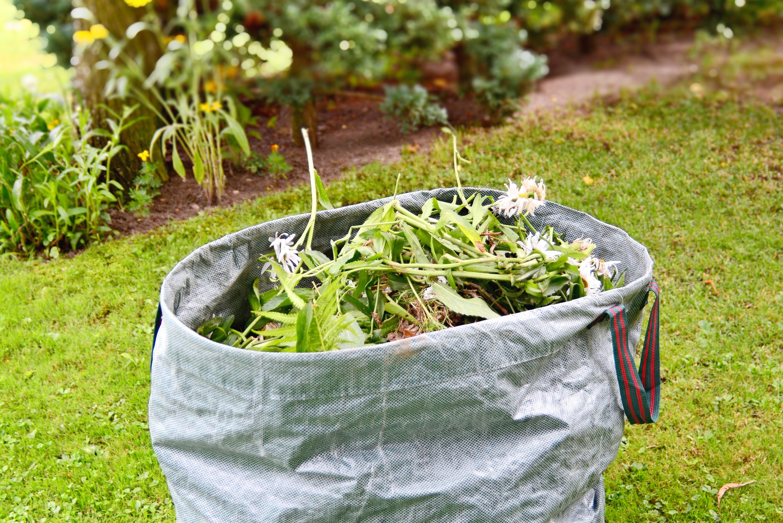 Bagged weeds.