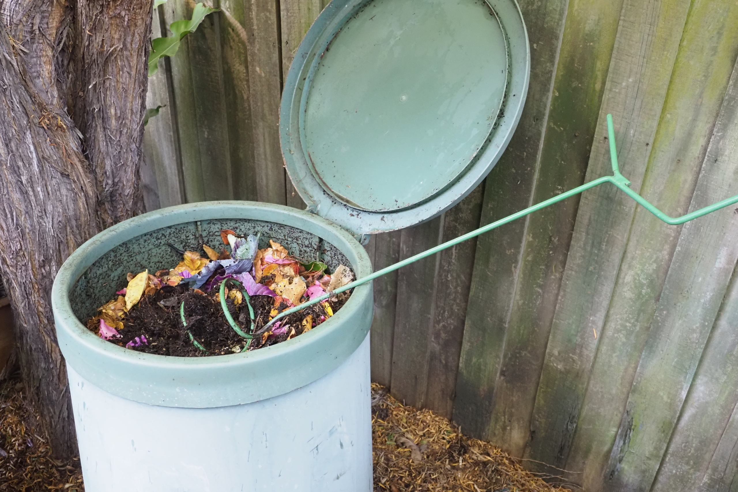 A green compost bit open with dry leaves inside.