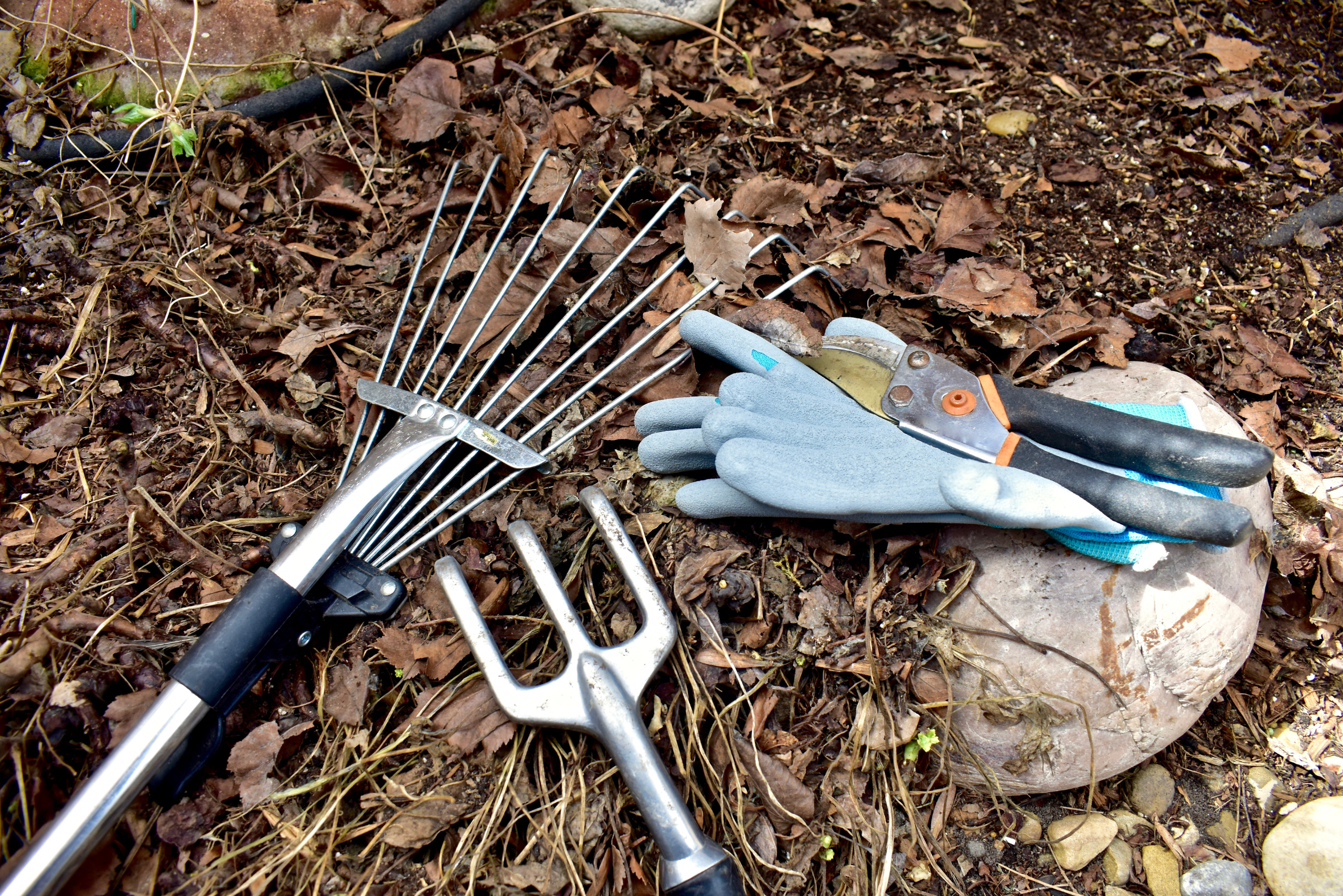 Gardening tools on top of dry leaves.