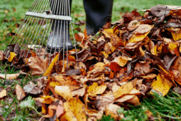 Prepare Your Garden for Fall with These 8 Simple Tips