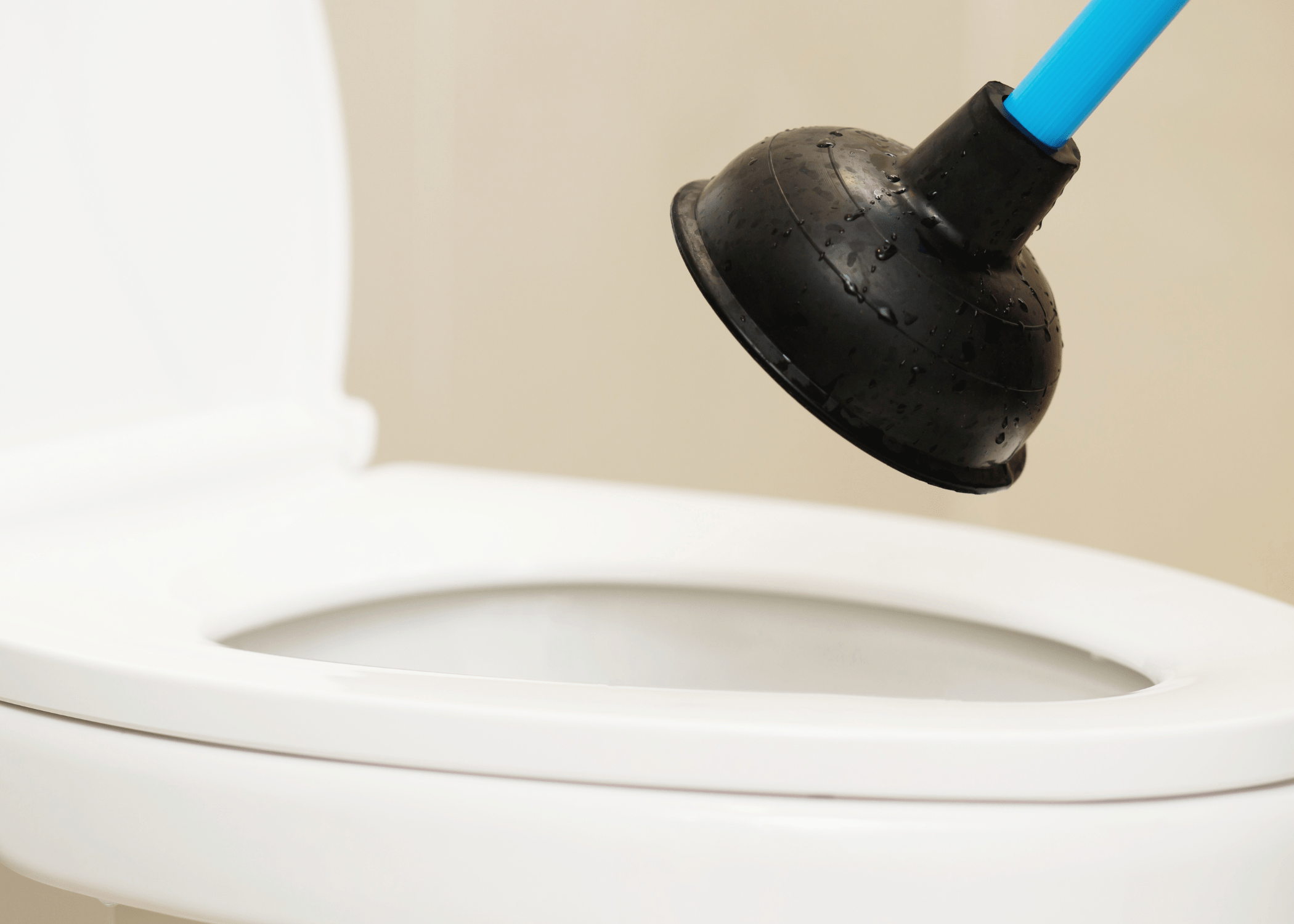 plunger above toilet