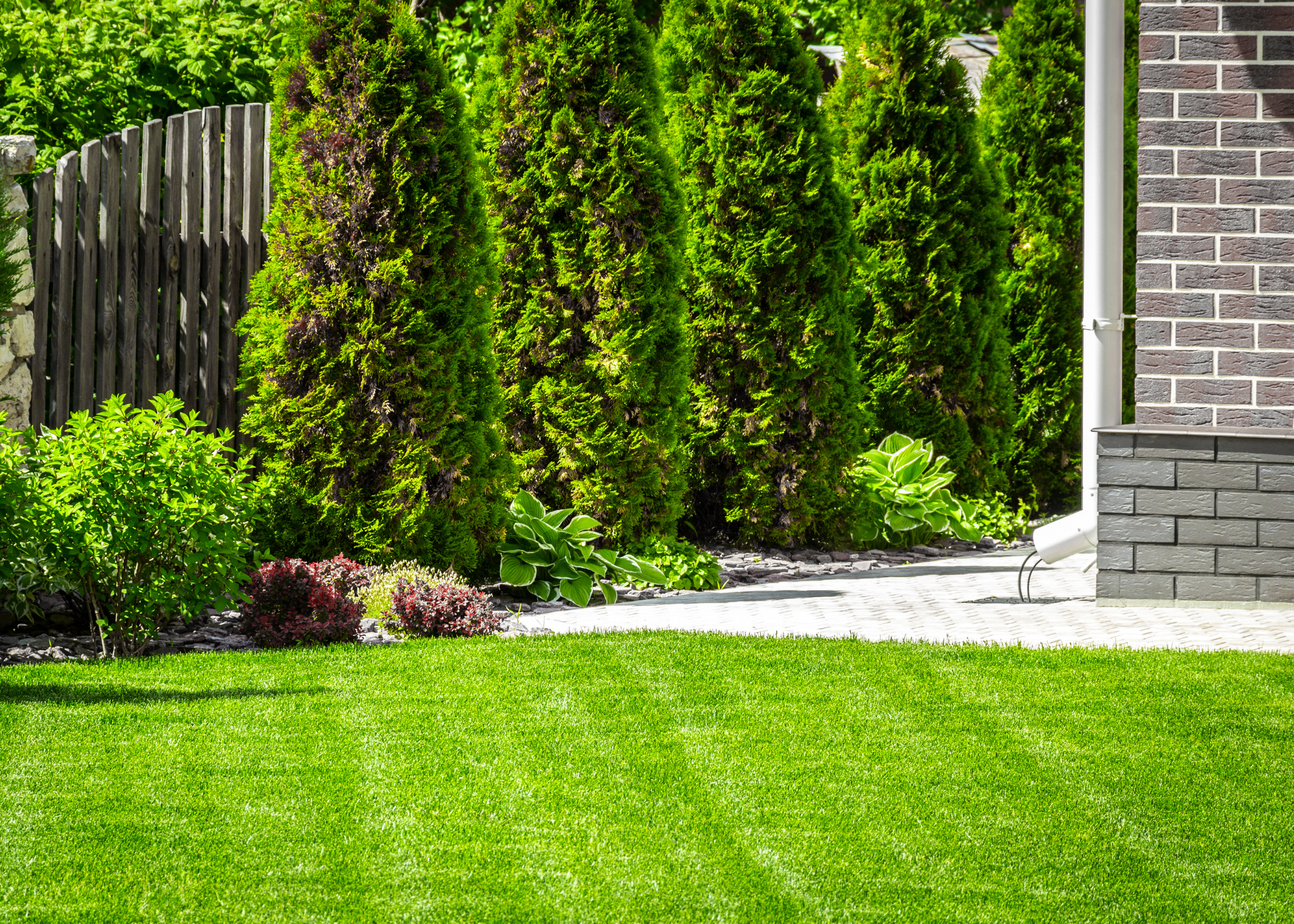 lawn green grass and trees