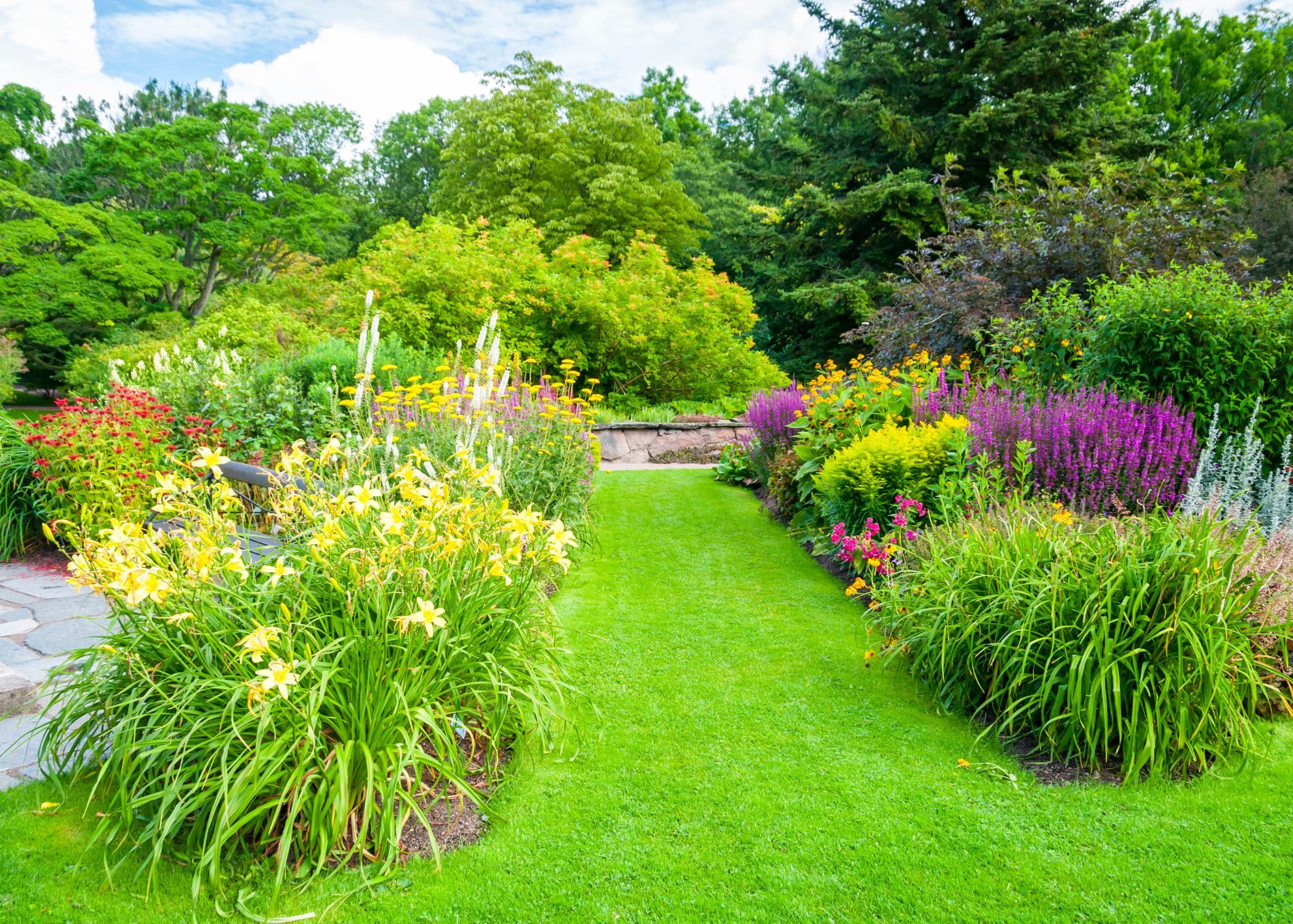 lawn green grass and large gardens