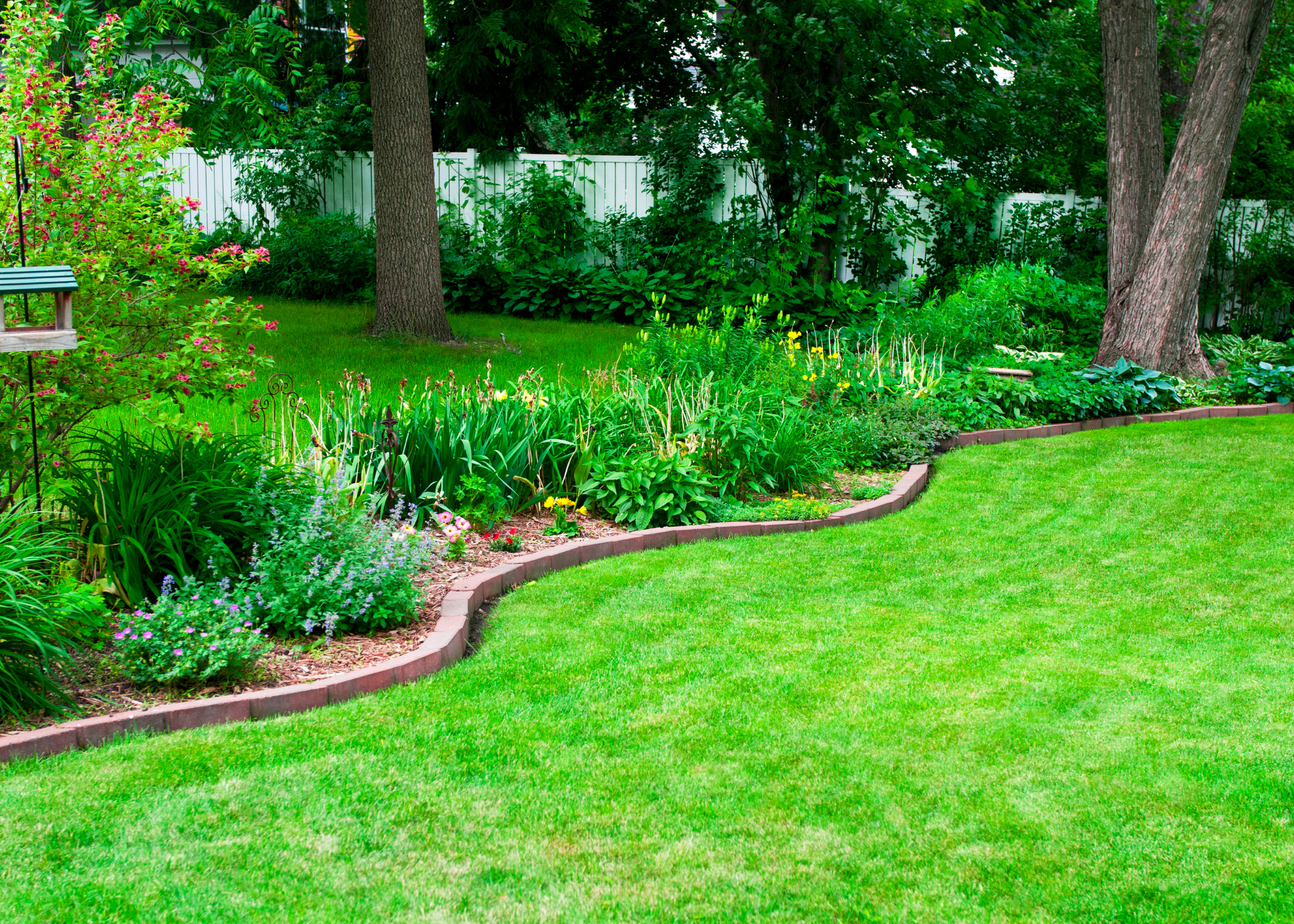 lush lawn with garden