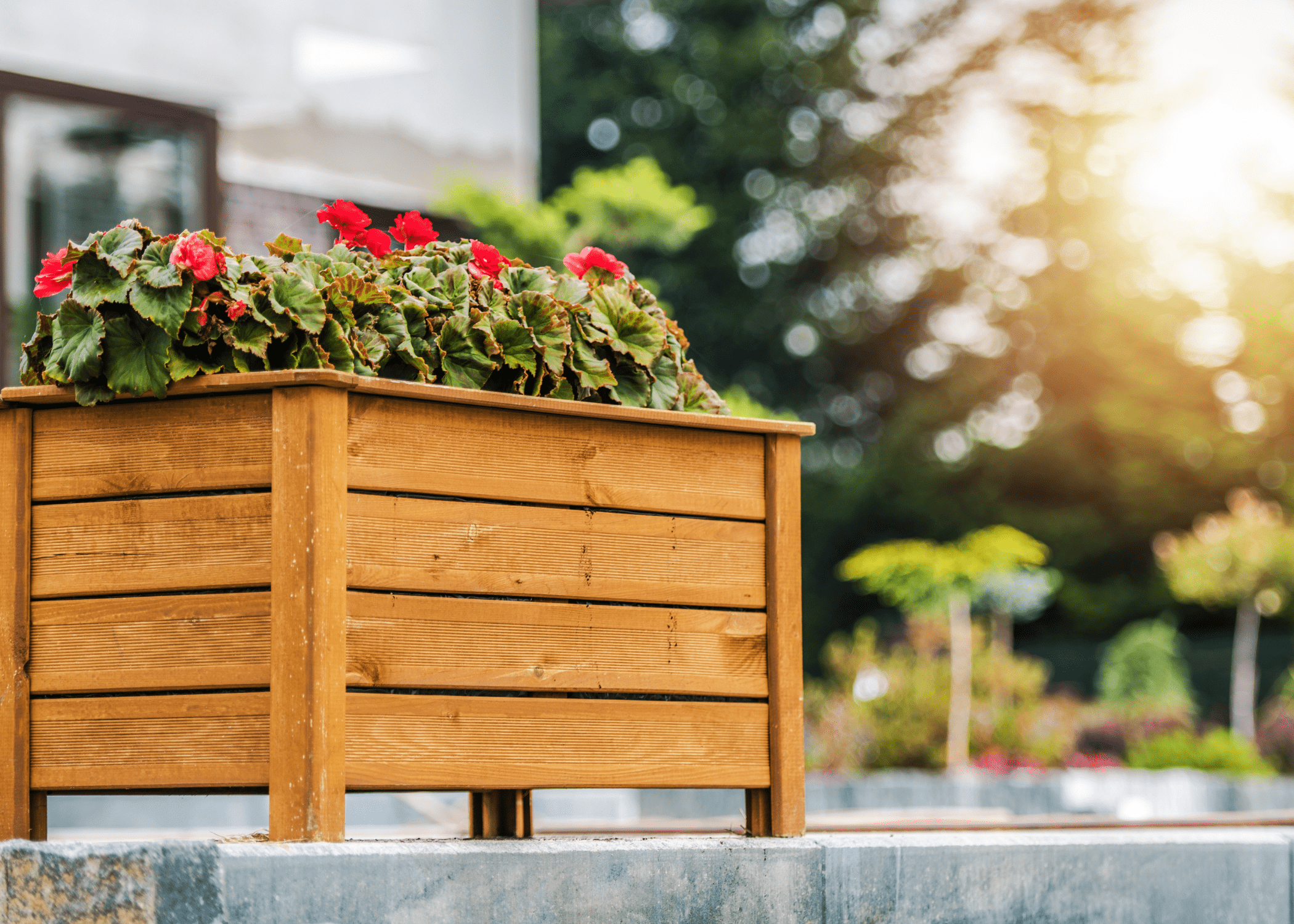 wood planter box