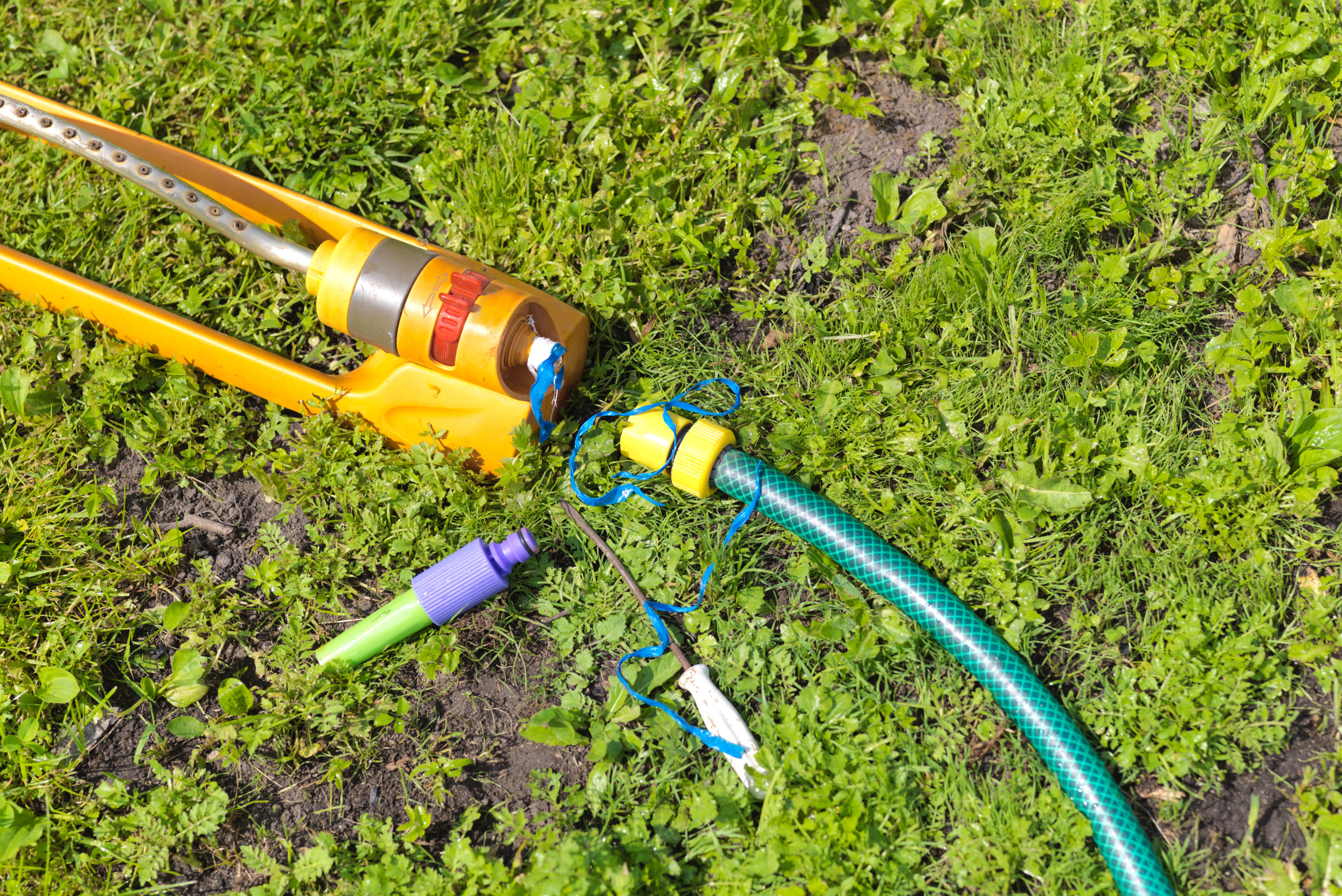 Garden hose on grass.