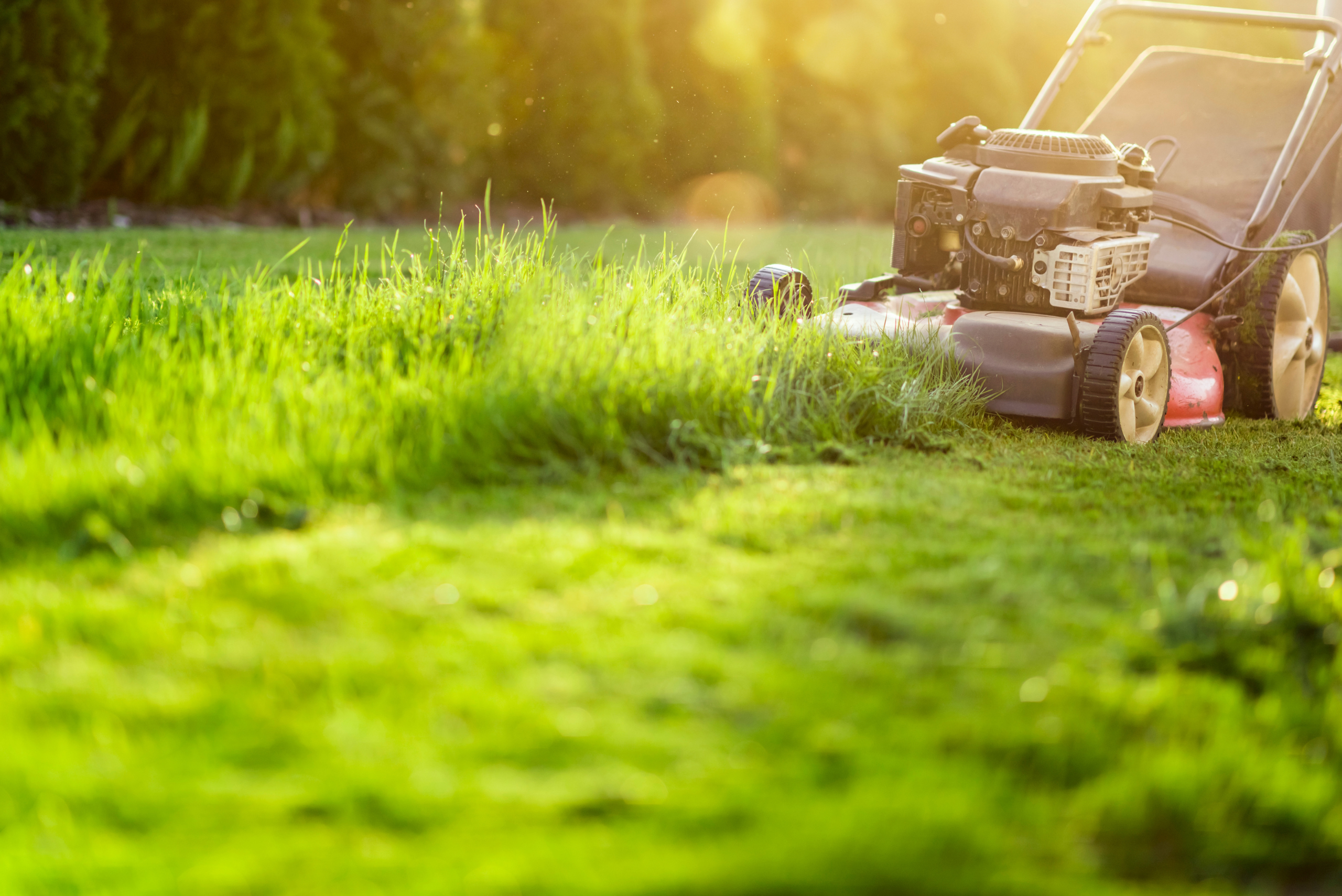 Lawn mower mowing grass.