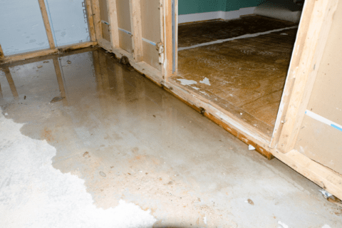 Water on the floor of a leaky basement.