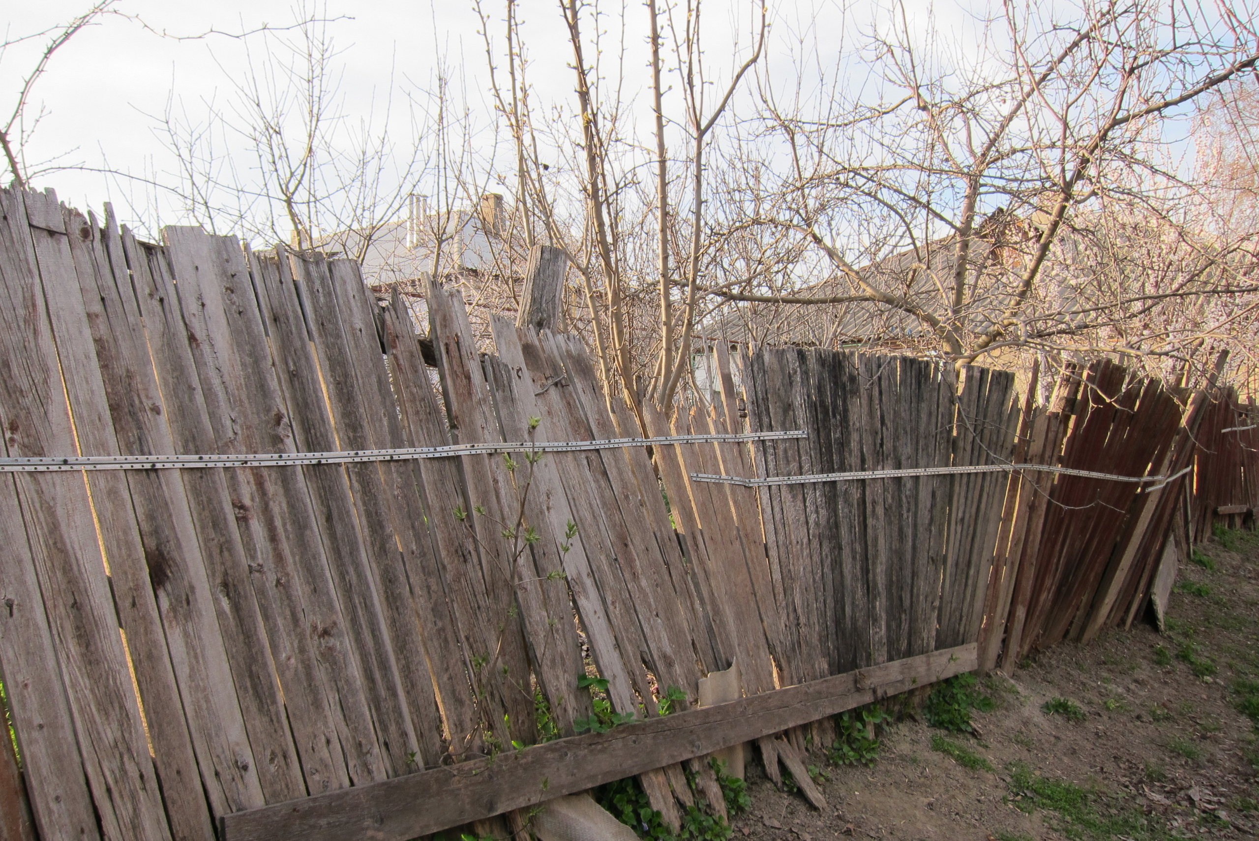 A fence falling apart in a backyard.