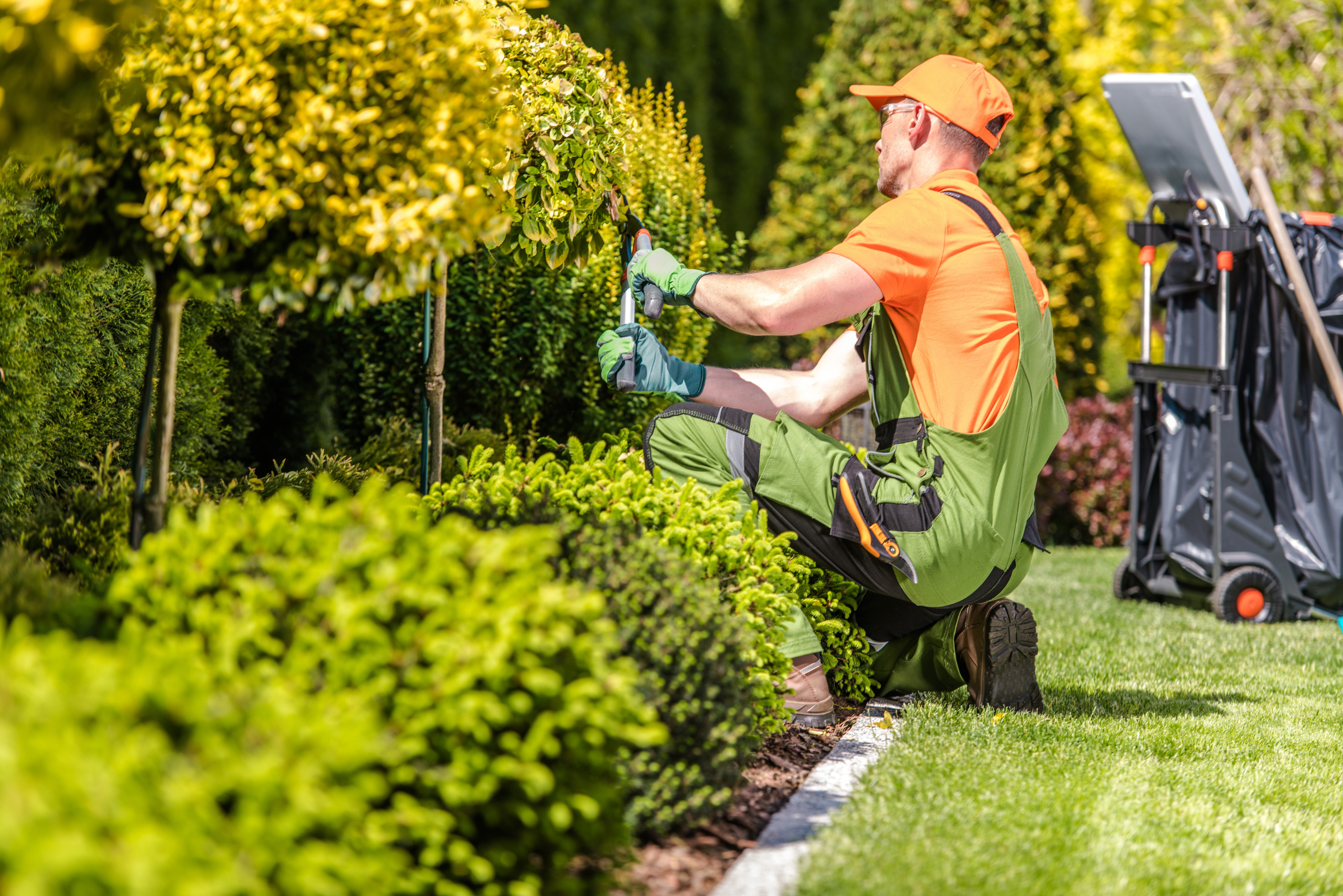 Man landscaping from of house.