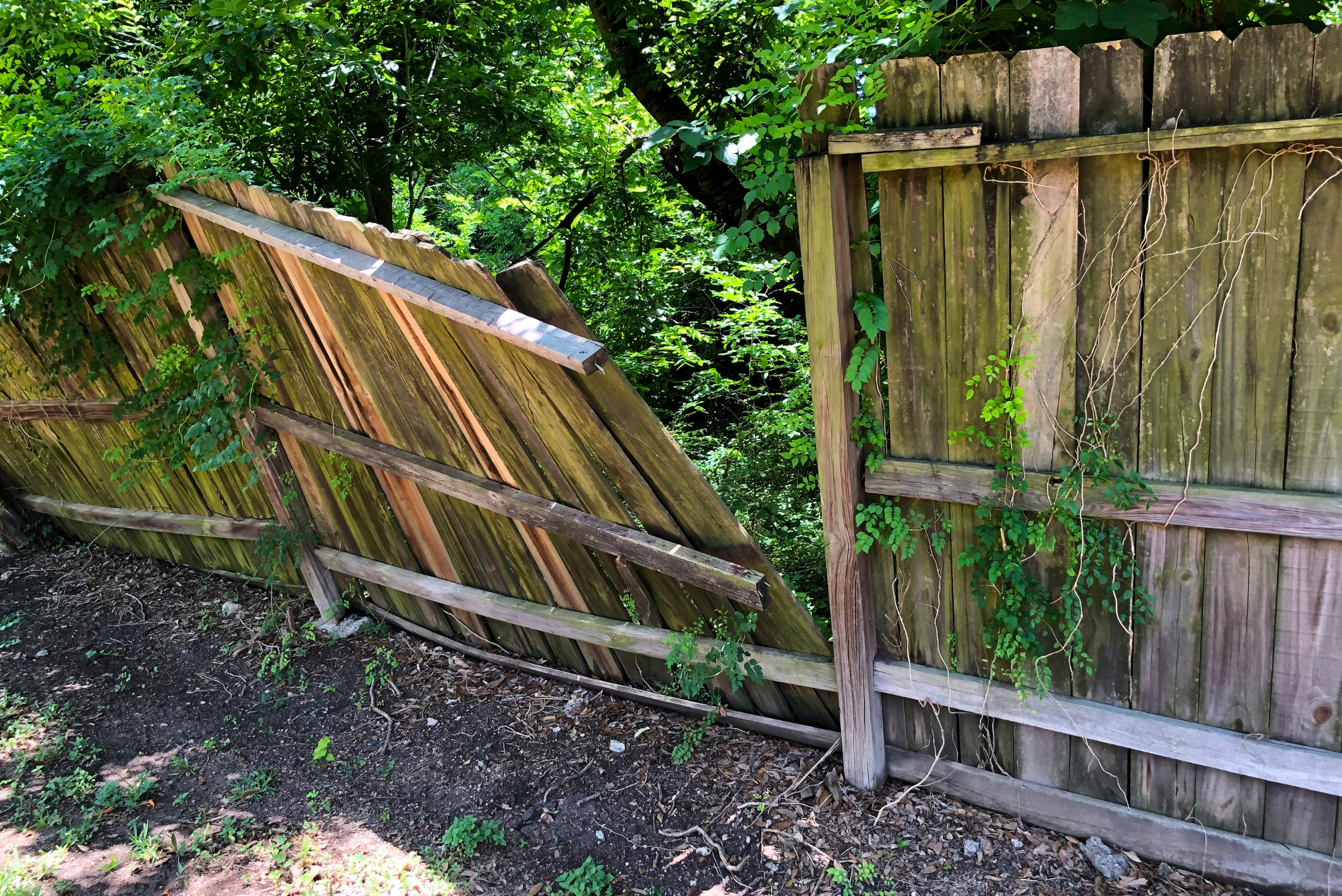 Fence split apart and leaning down.