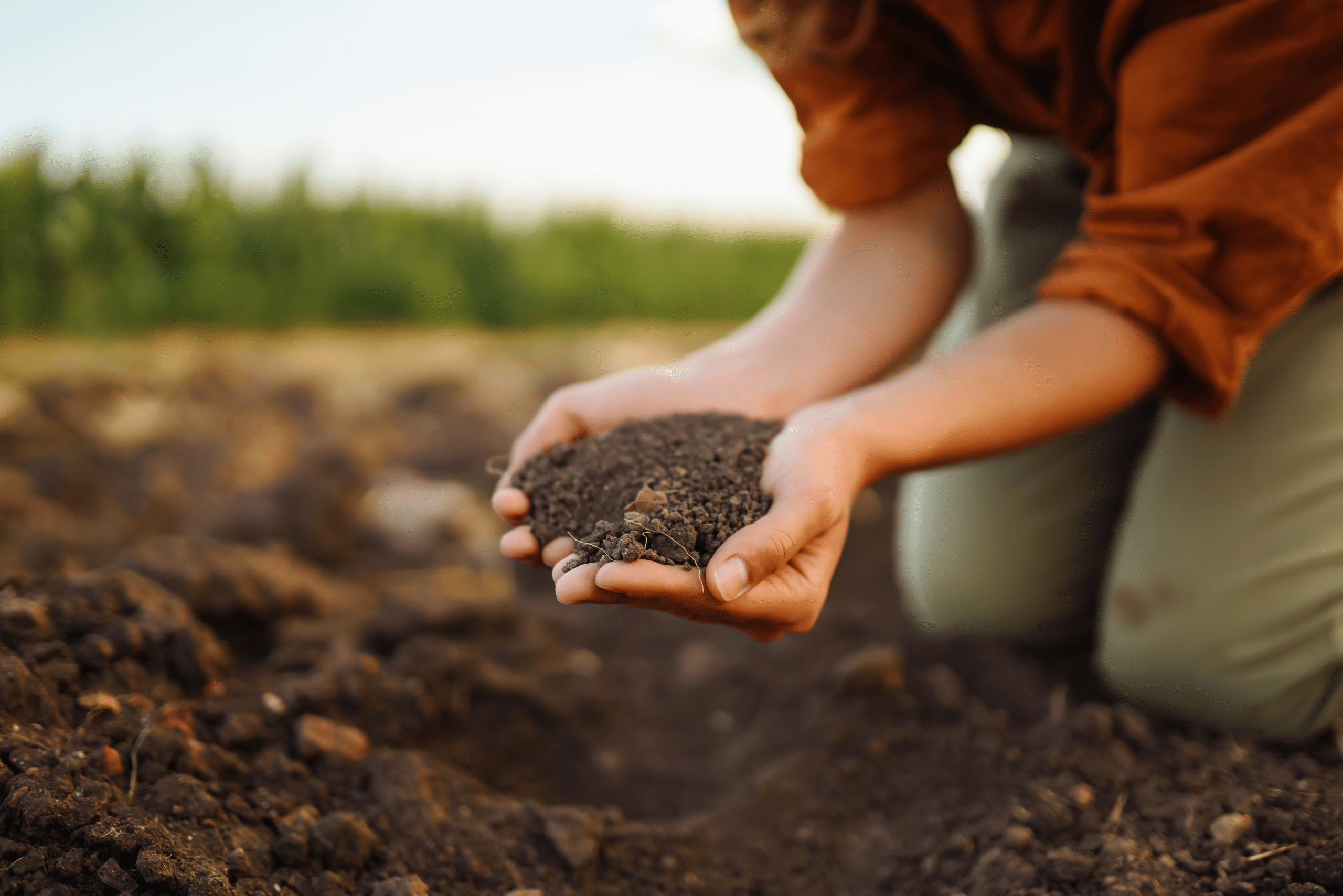 Person holding soil.