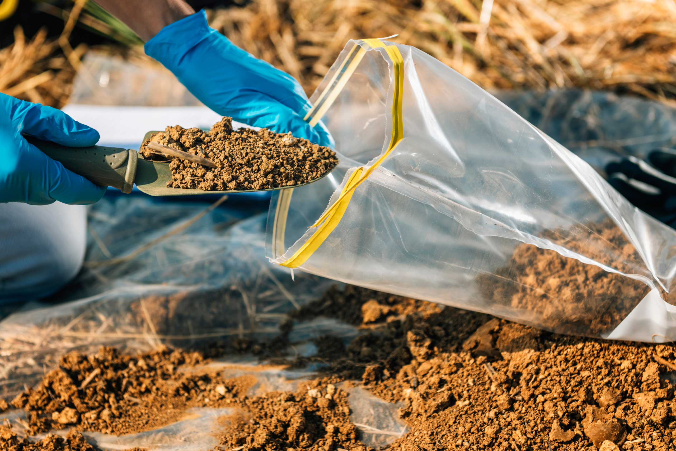 Soil sample being extracted into a plastic bag.