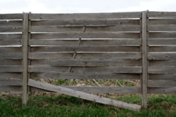 8 DIY Ways to Revive Your Worn-Out Fence