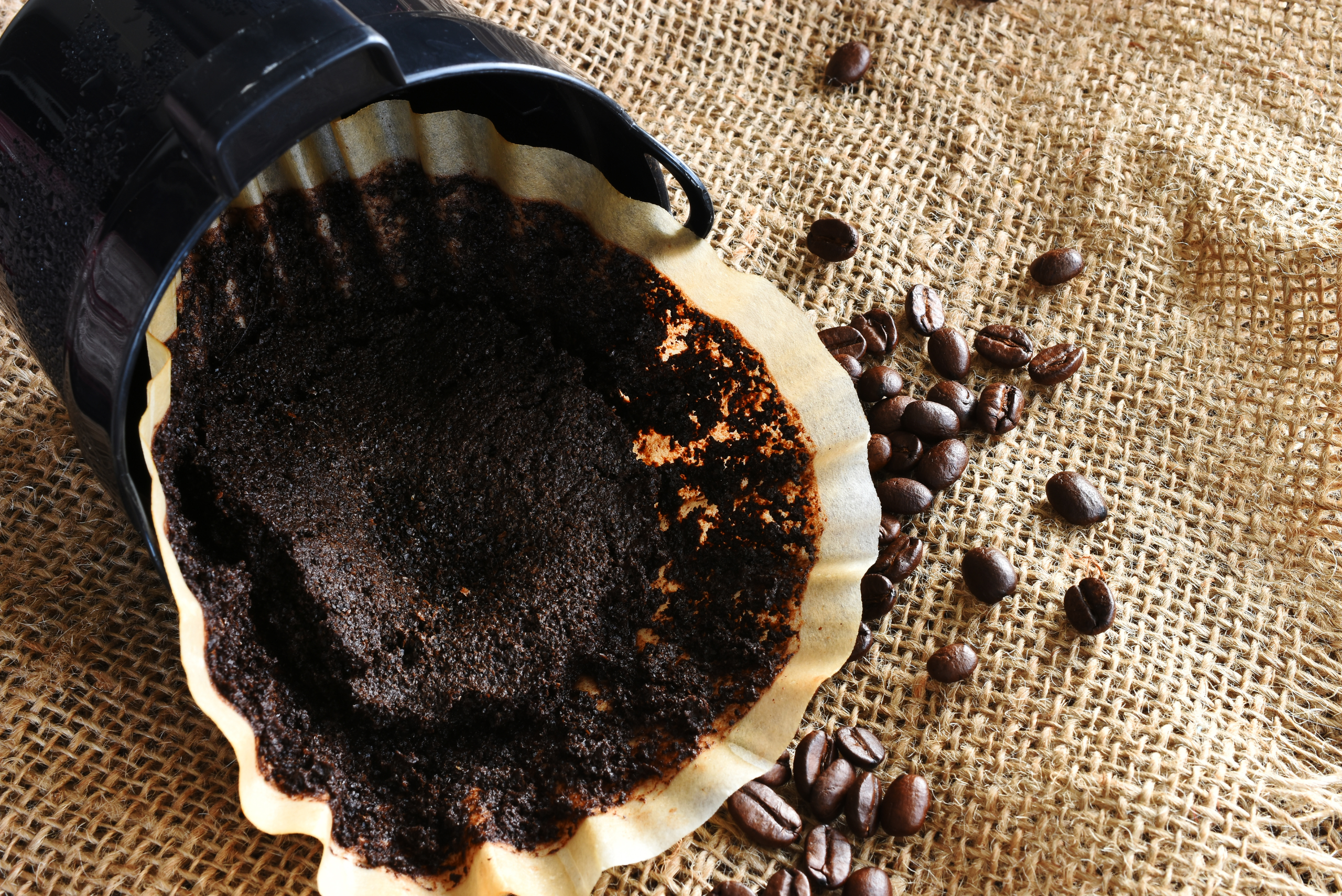 Coffee grounds in a filter.