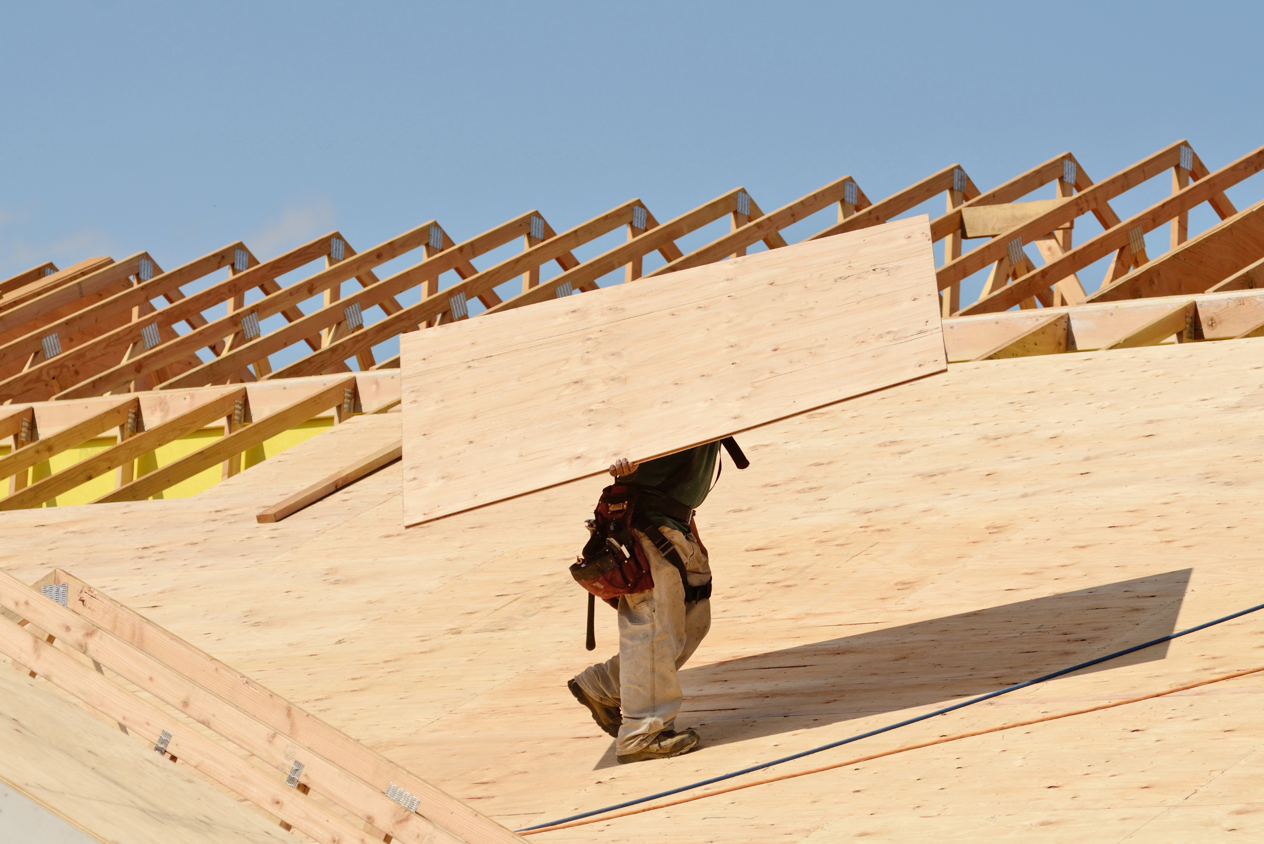 Worker carrying plywood on top of roof.