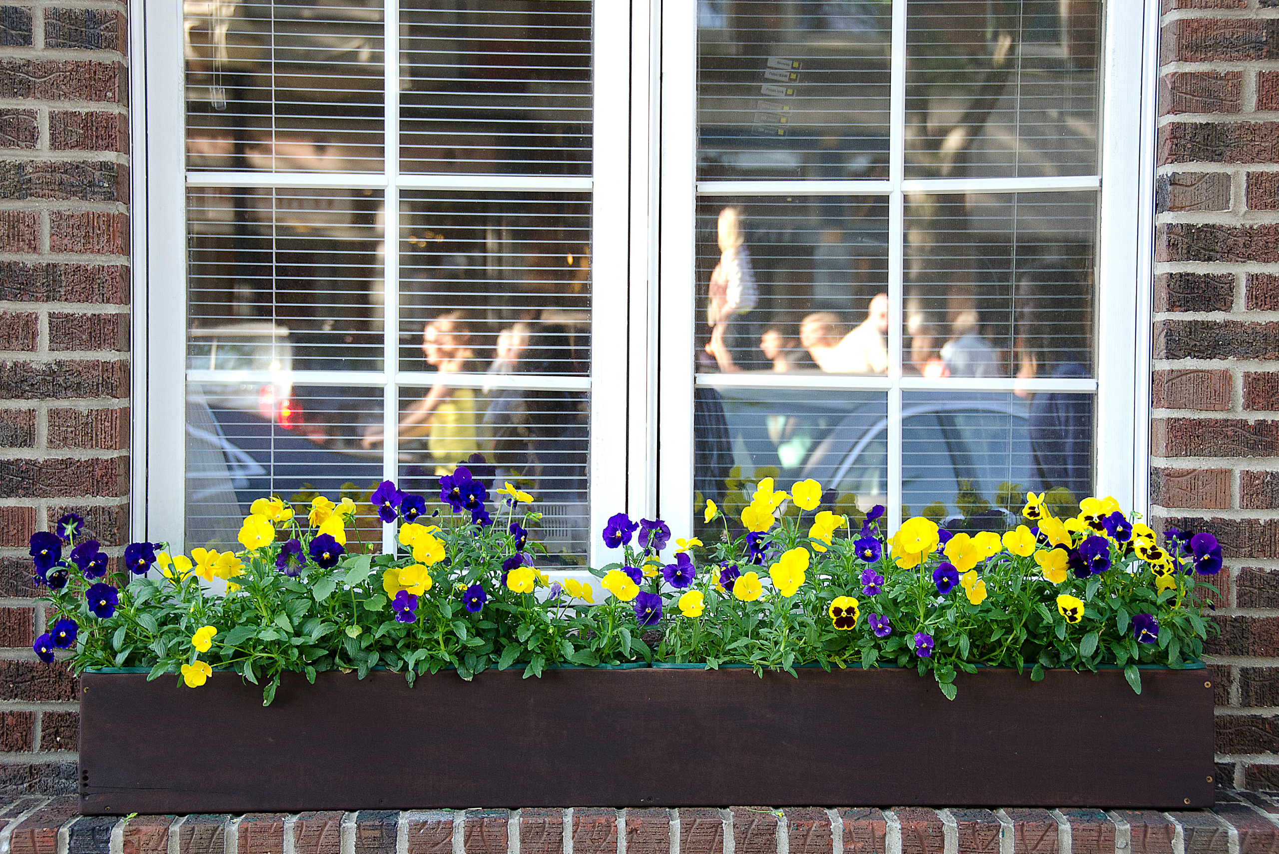 White windows fronted by a flower box.