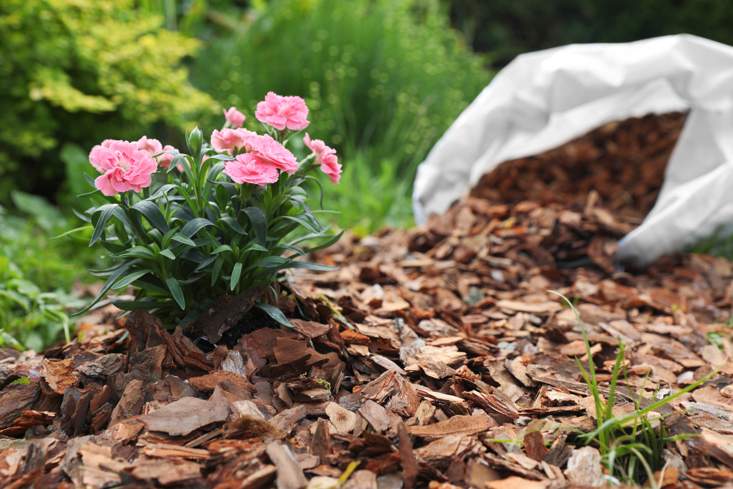 Mulch bag in garden.