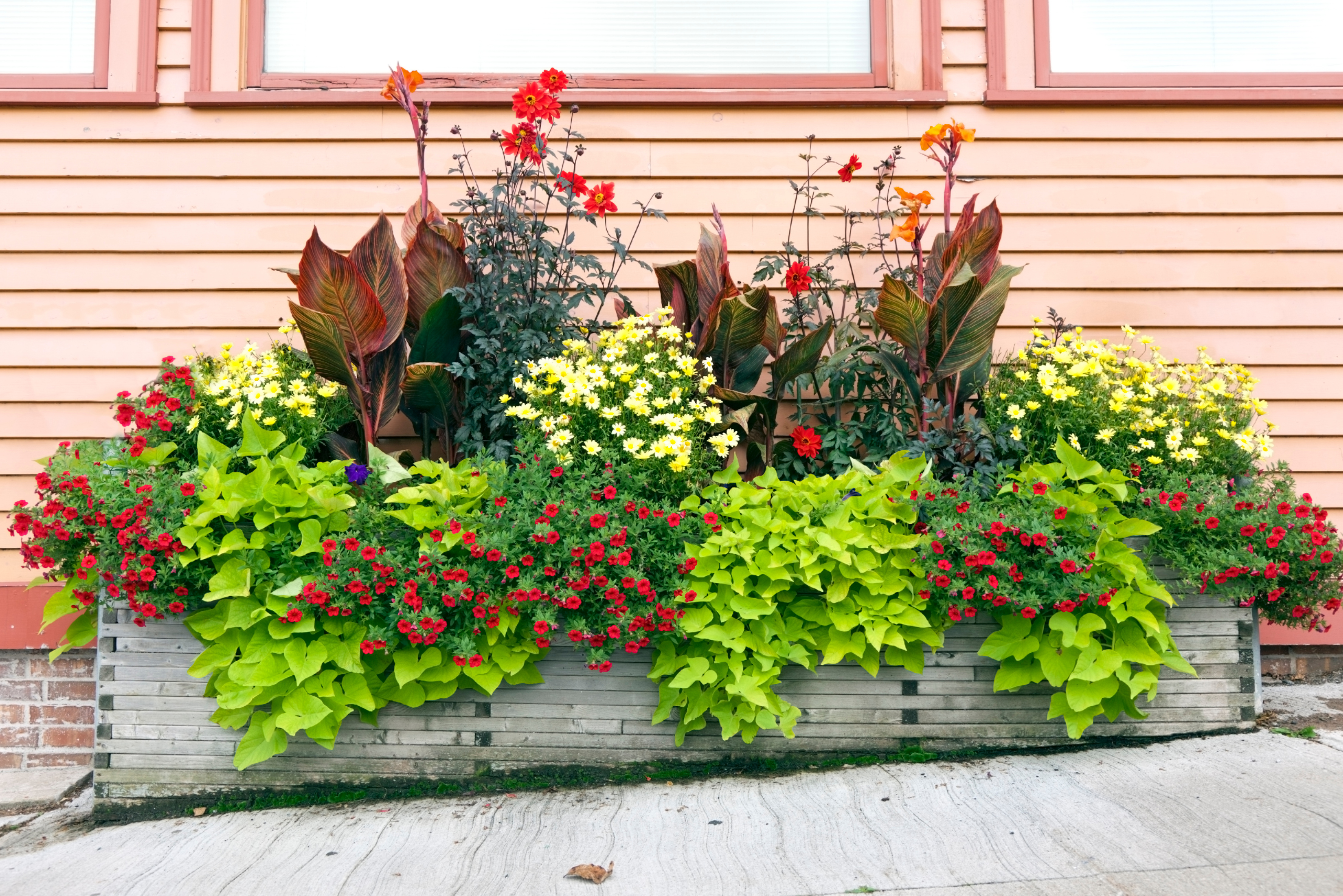 An outdoor planter box.