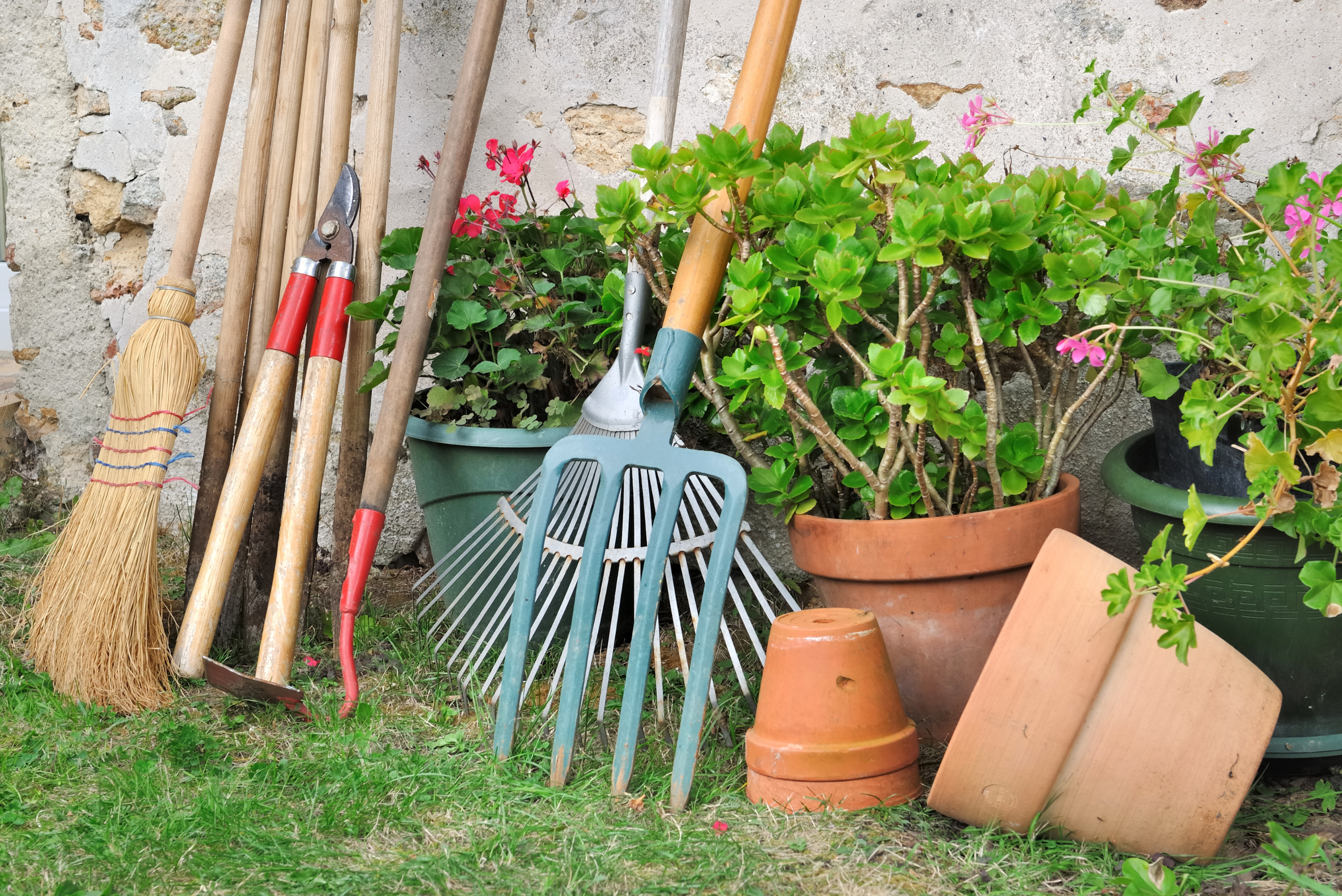 Garden tools.