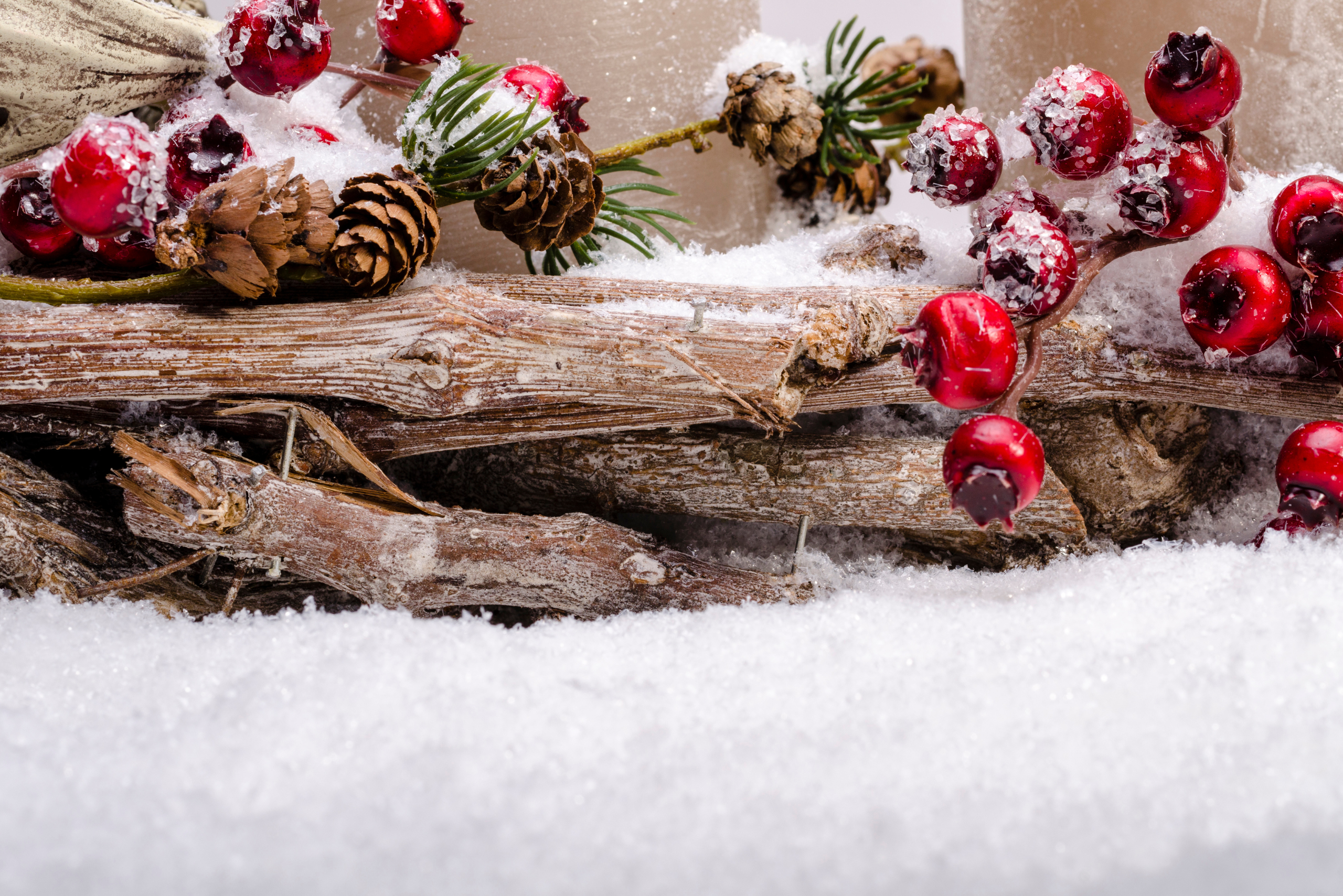 Snowy berry branches.